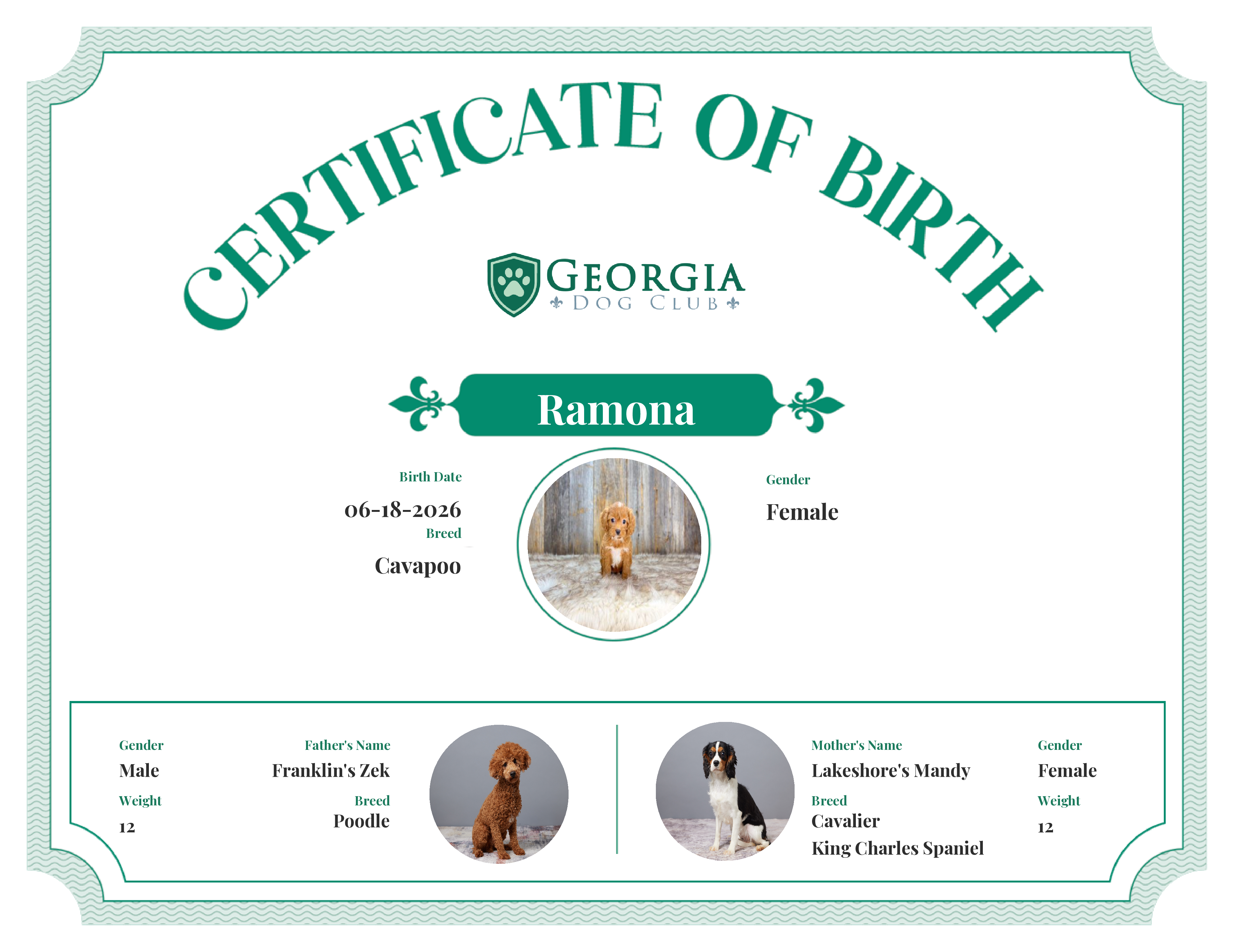Ramona's Birth Certificate