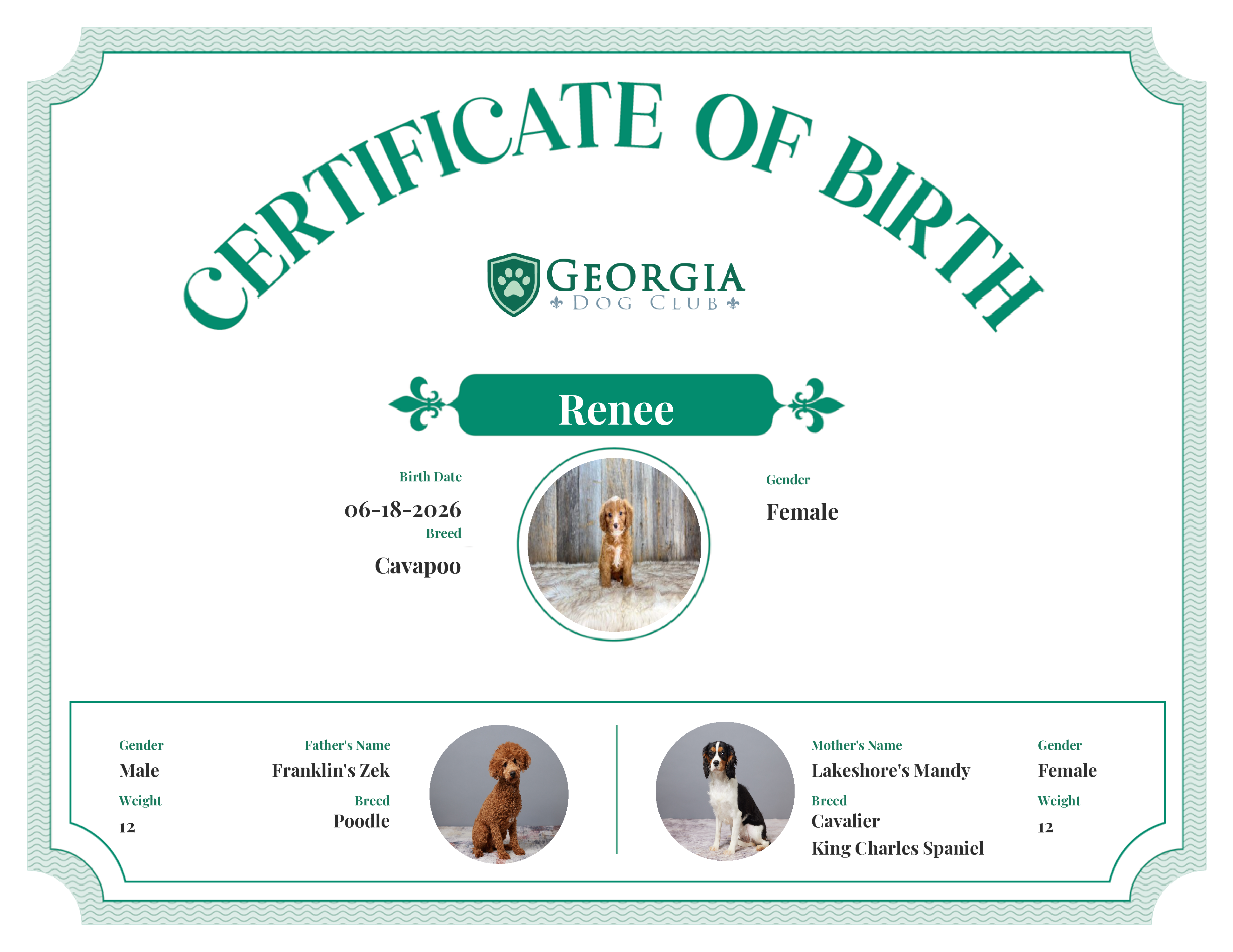 Renee's Birth Certificate