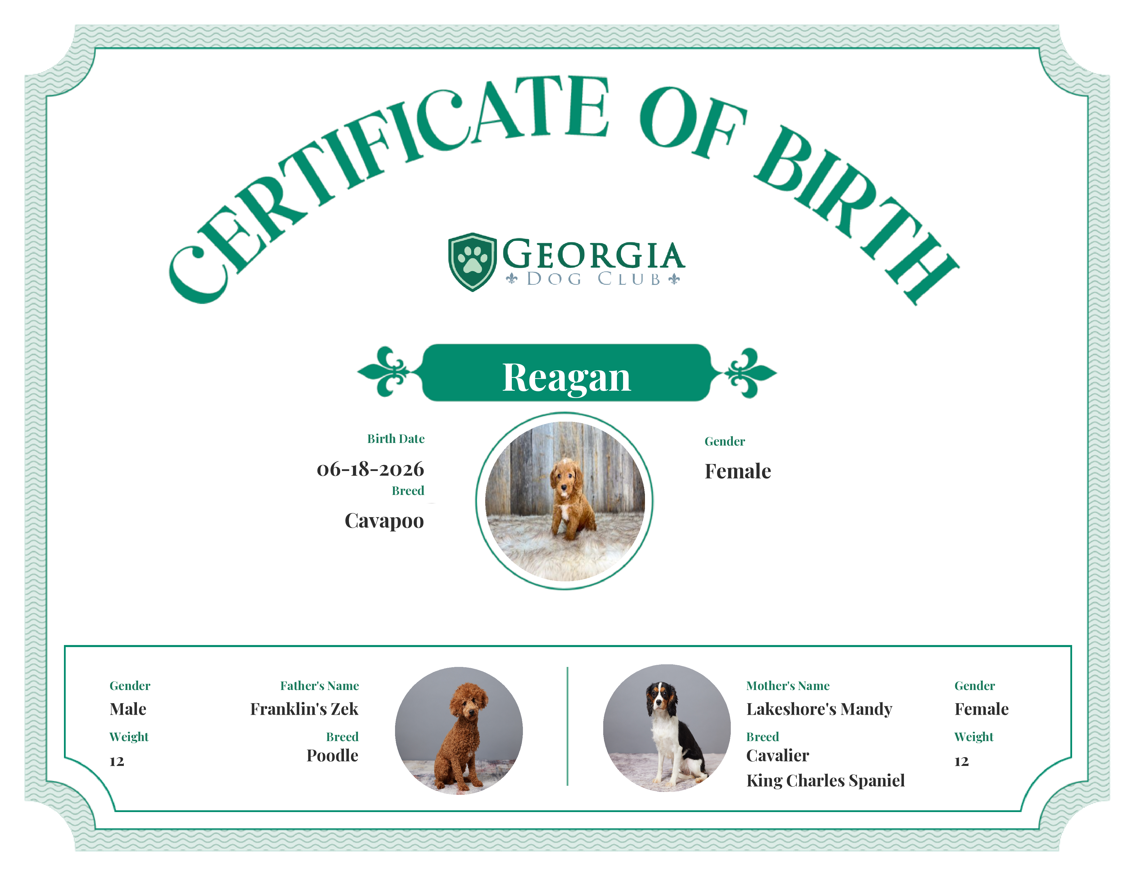Reagan's Birth Certificate
