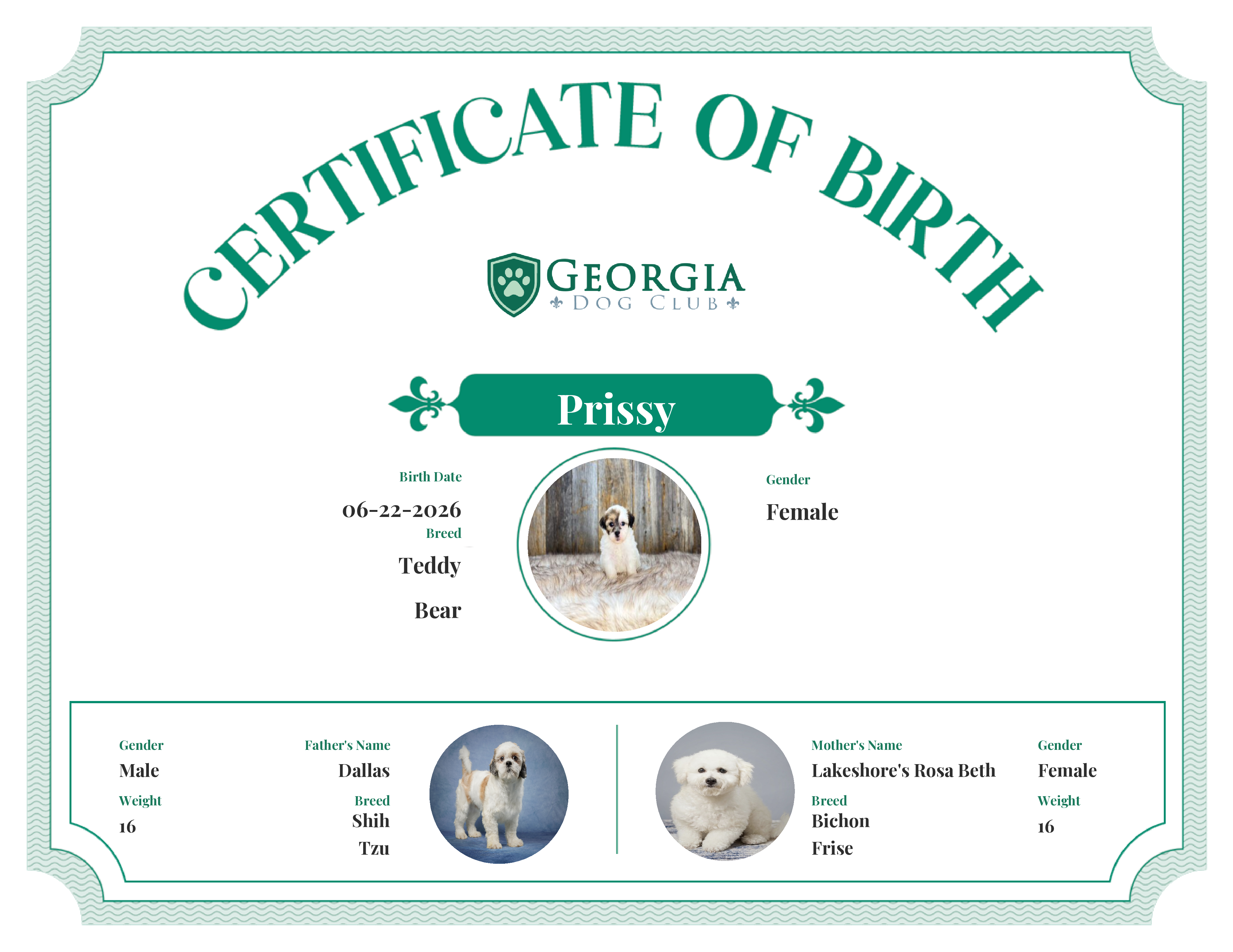 Prissy's Birth Certificate