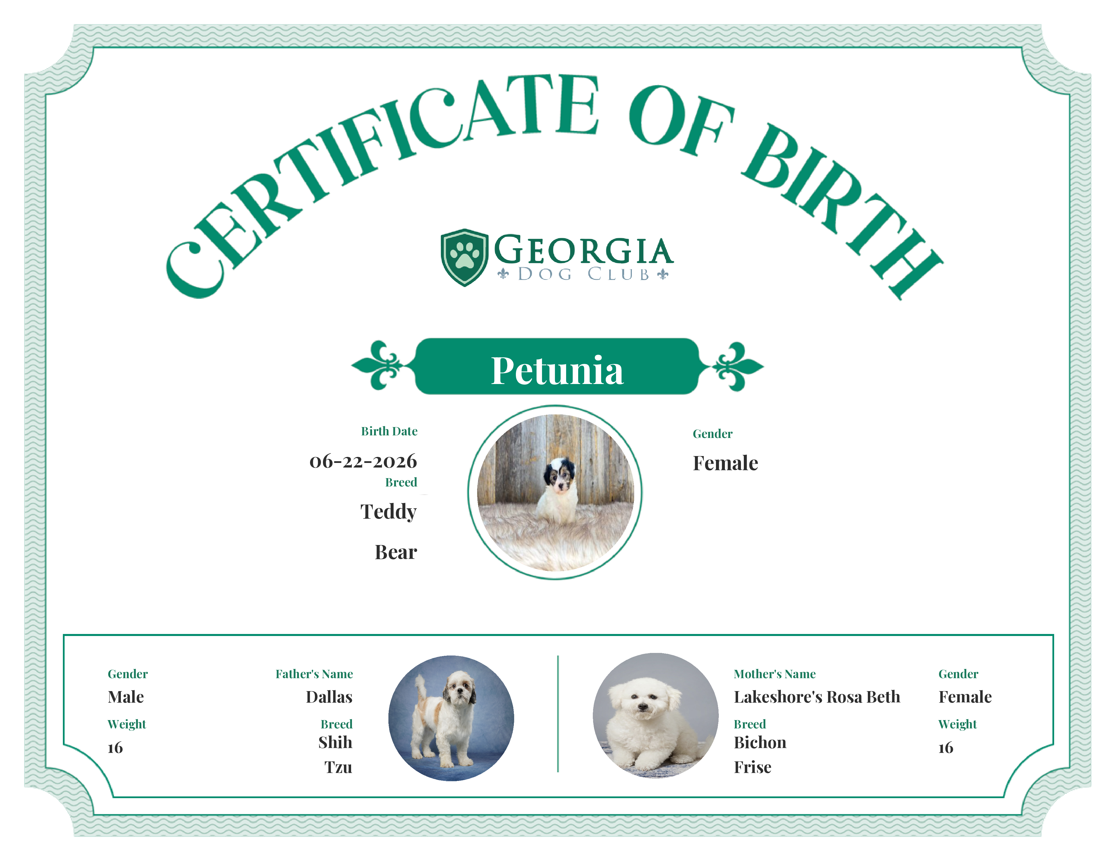 Petunia's Birth Certificate