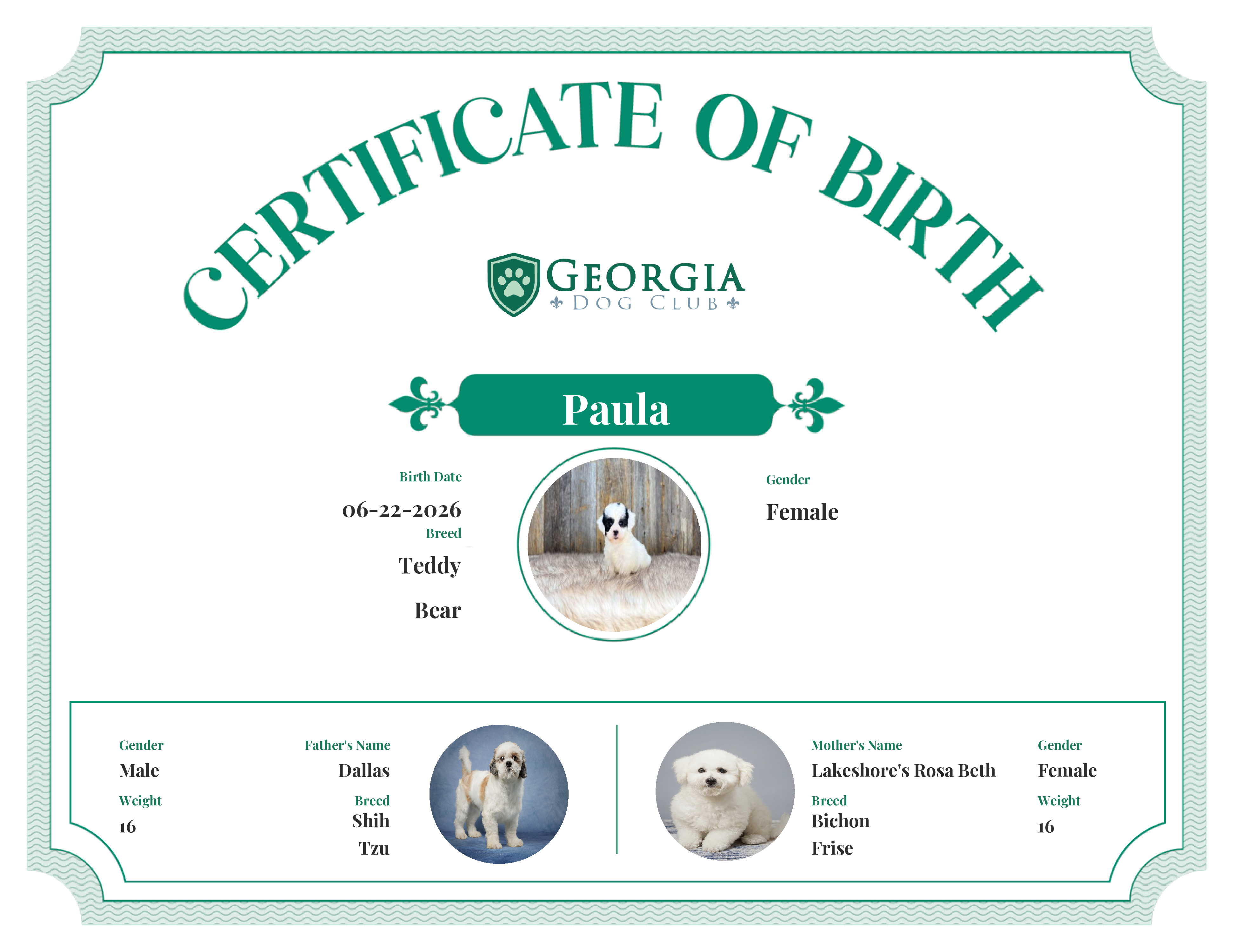 Paula's Birth Certificate