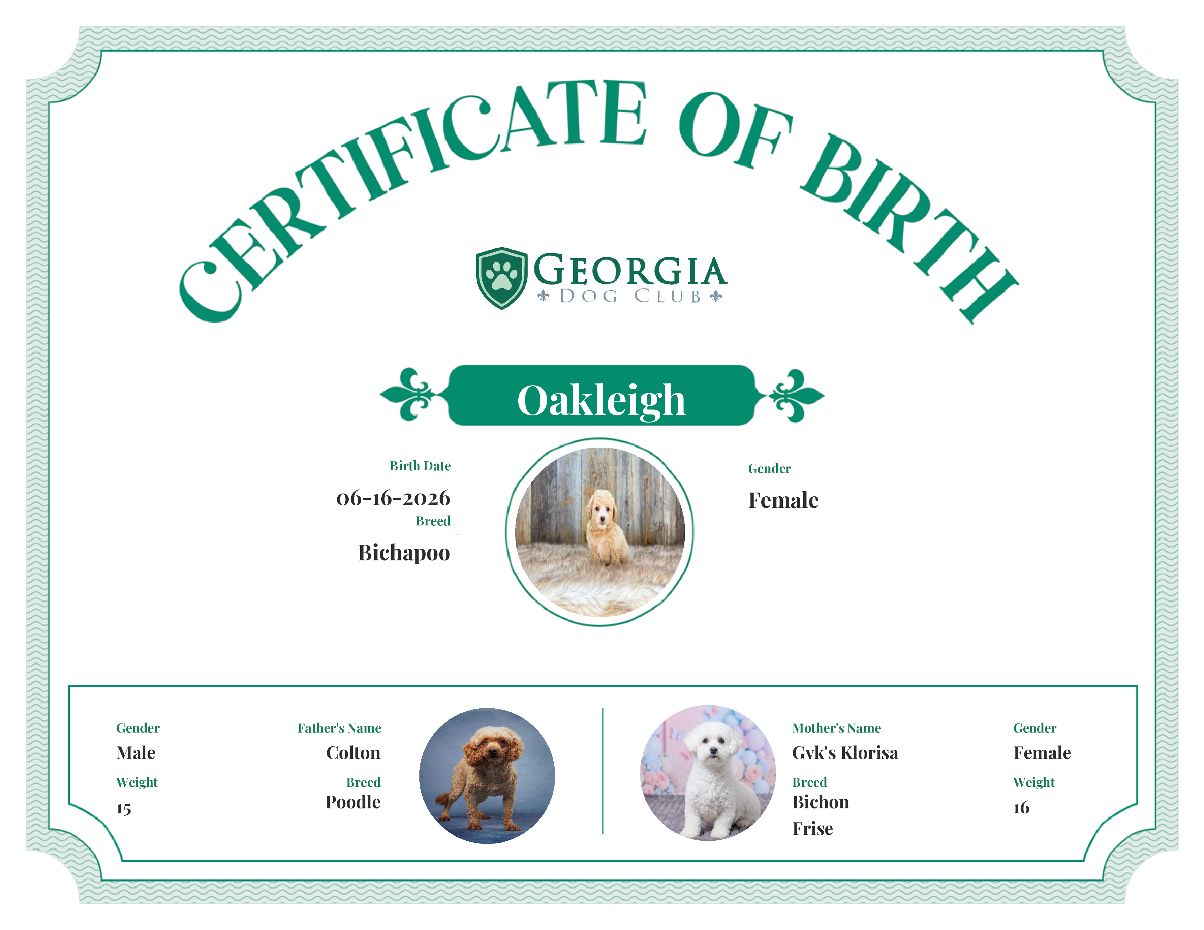 Oakleigh's Birth Certificate