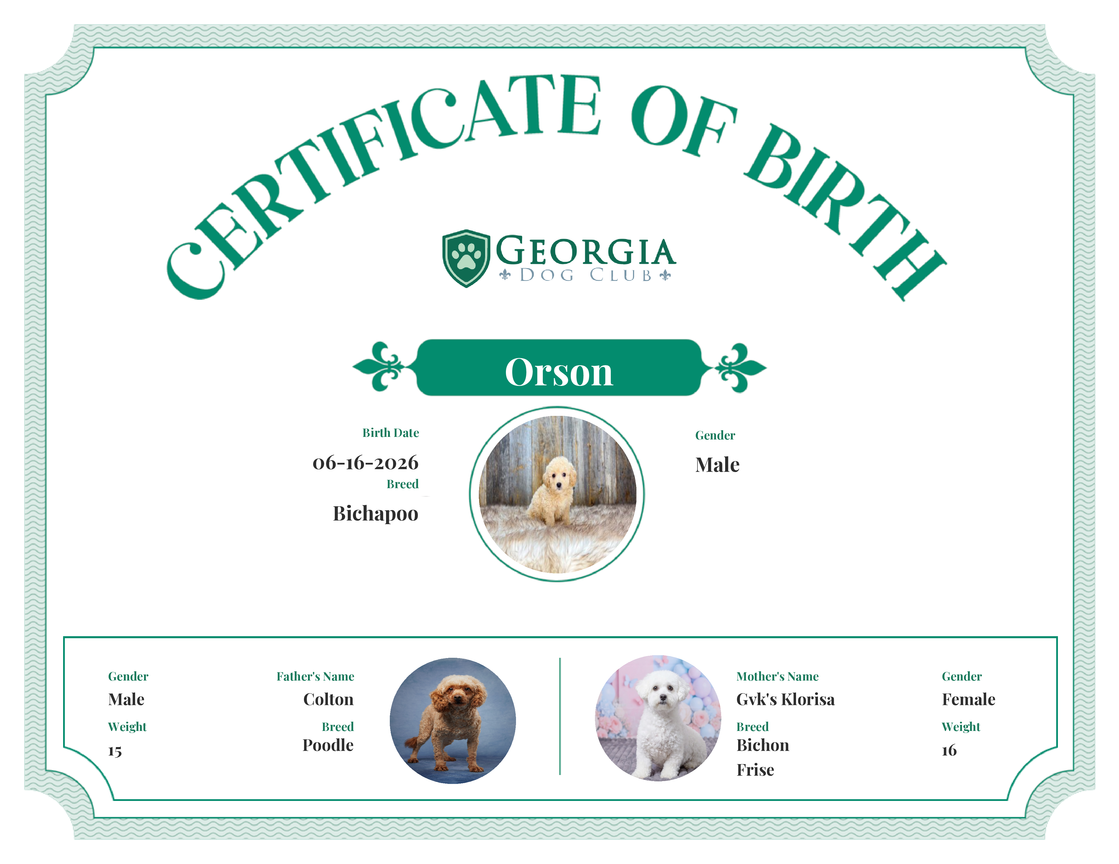 Orson's Birth Certificate