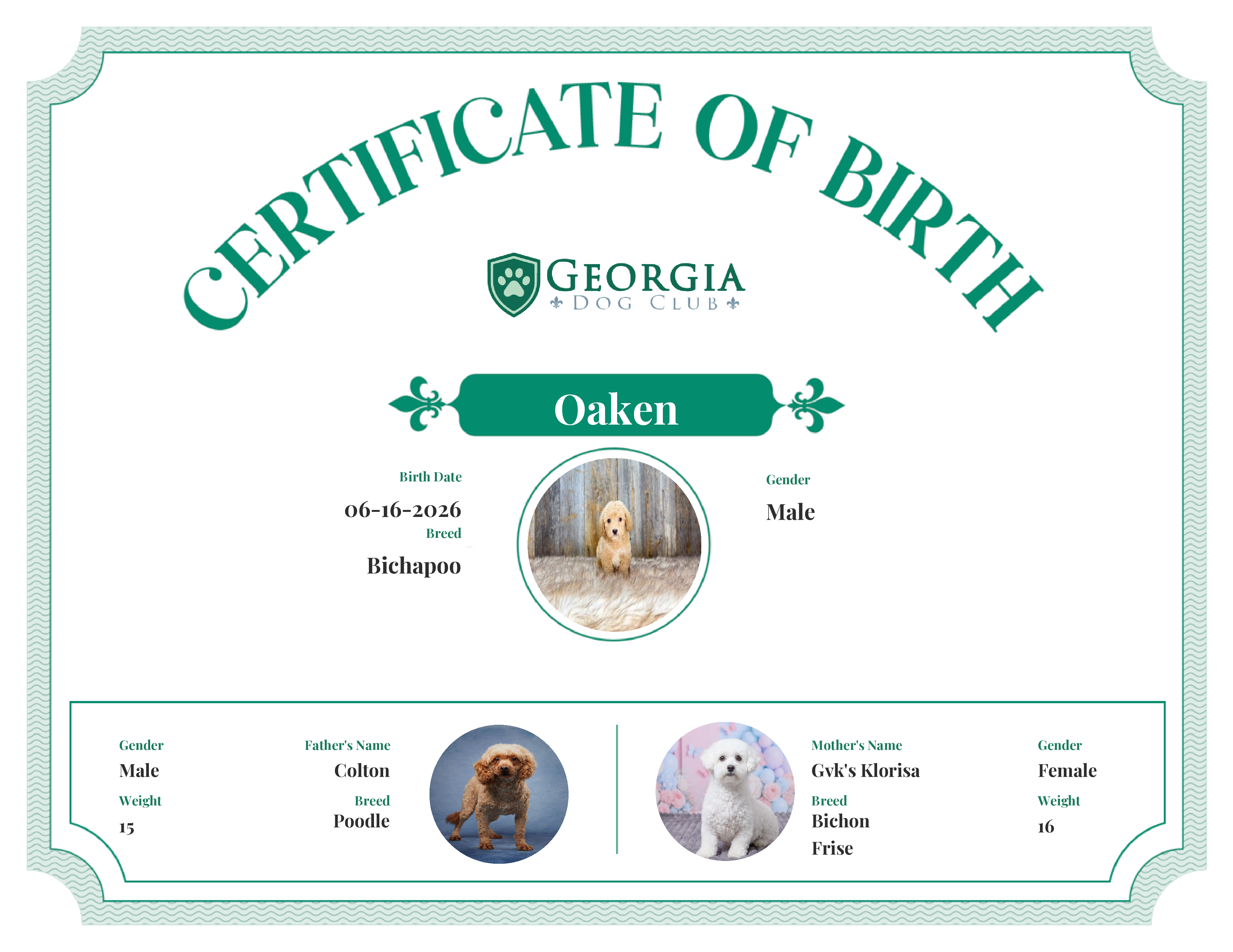 Oaken's Birth Certificate