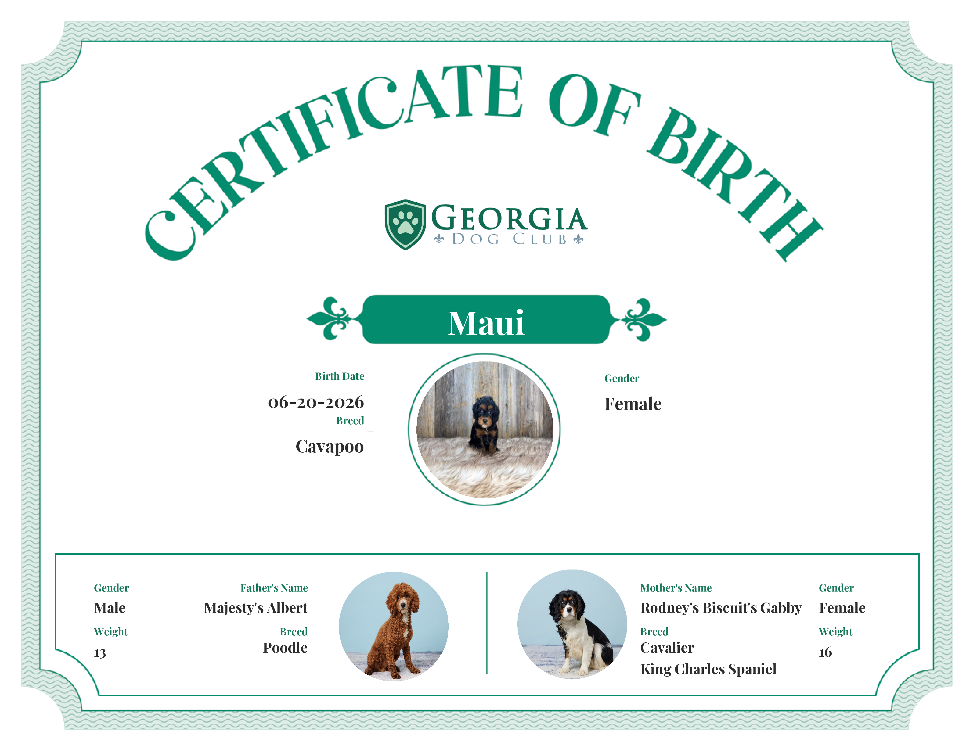 Maui's Birth Certificate