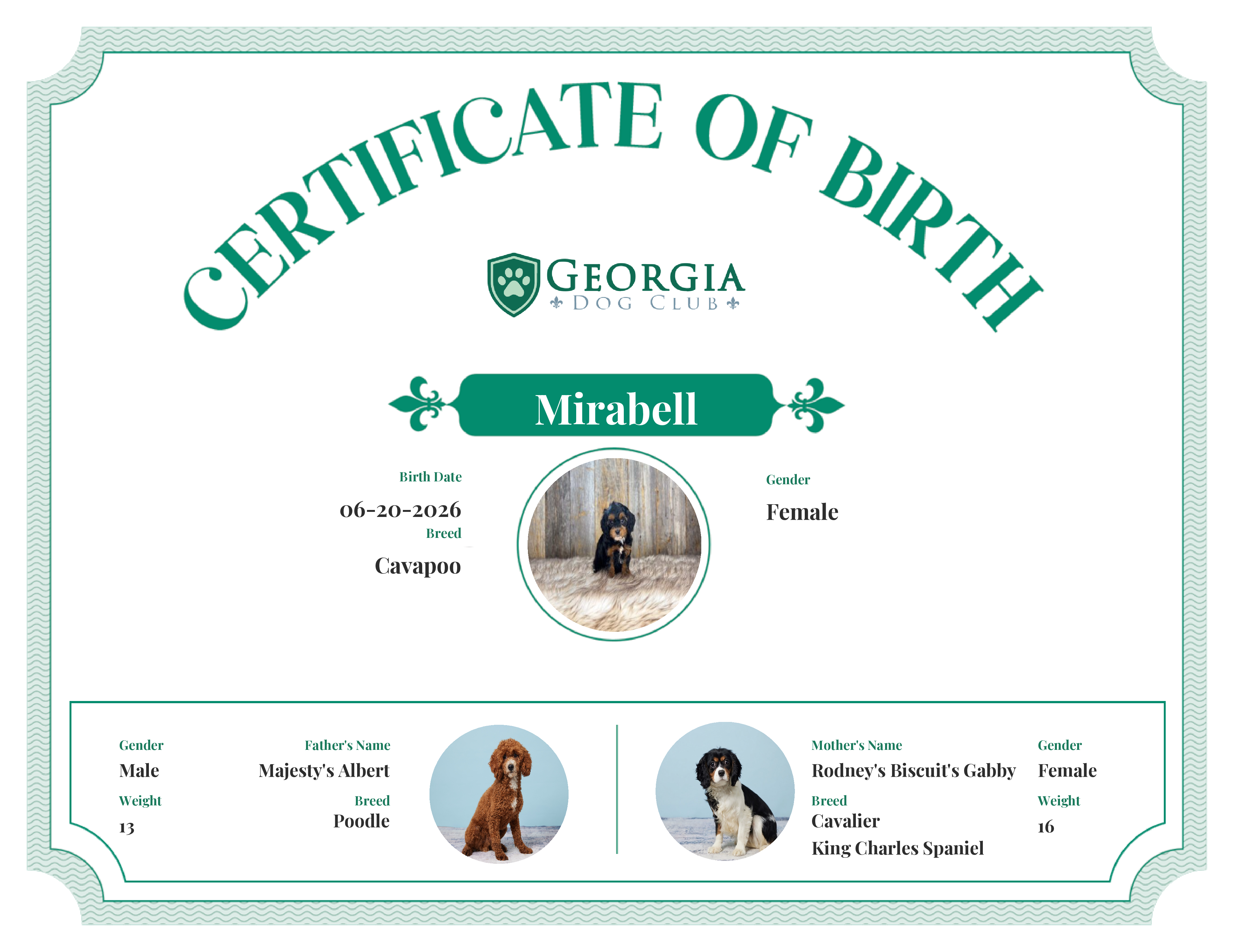 Mirabell's Birth Certificate