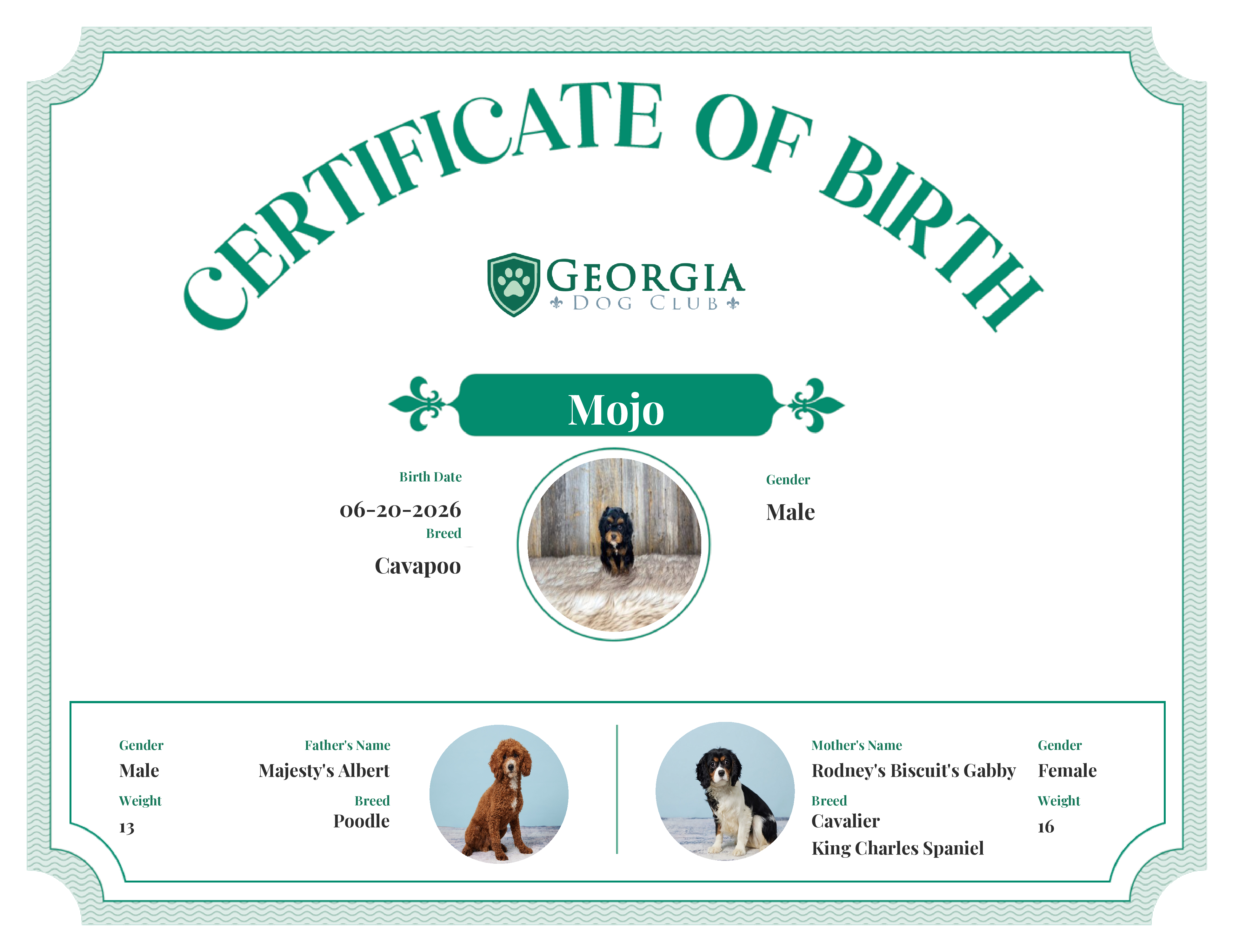 Mojo's Birth Certificate