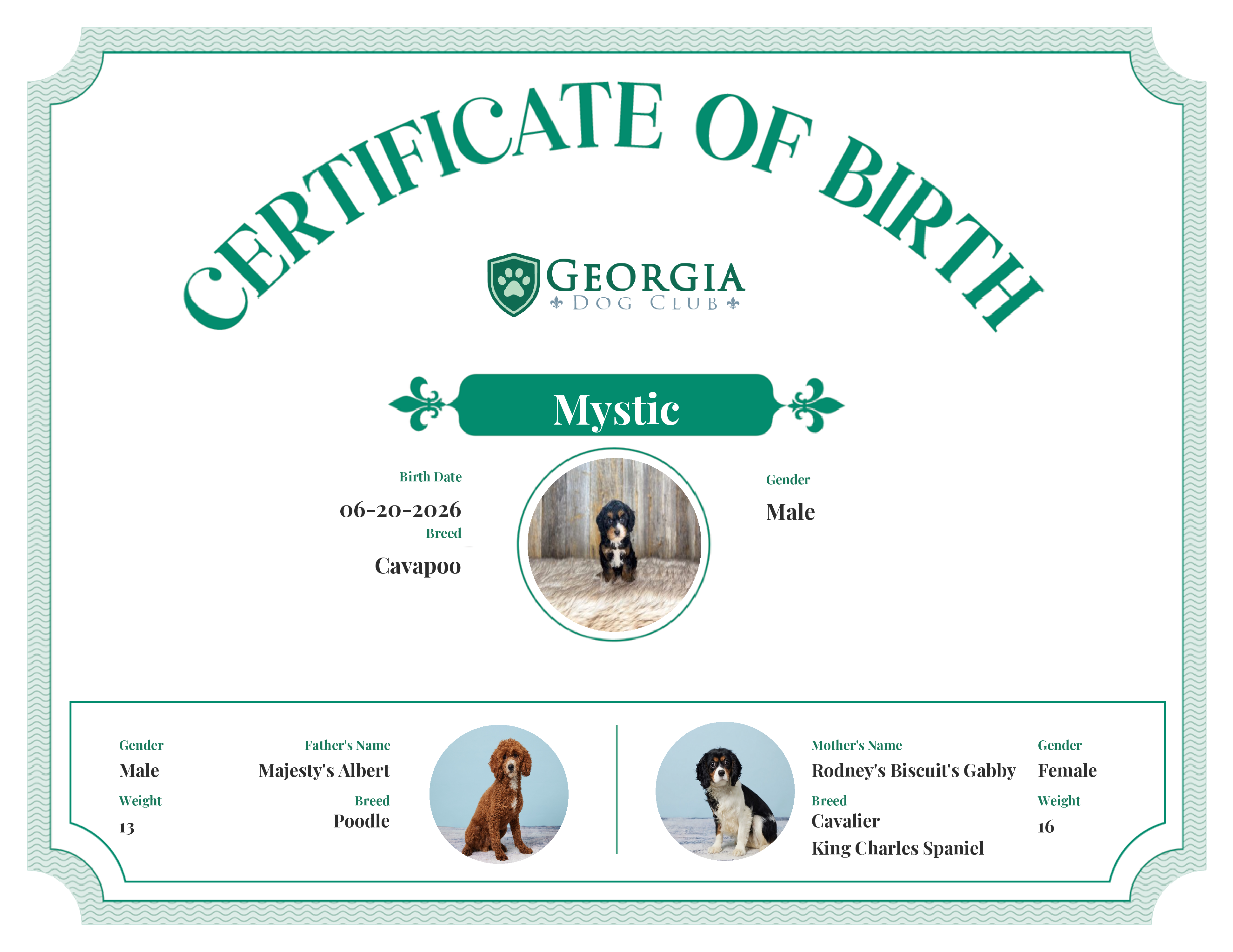 Mystic's Birth Certificate