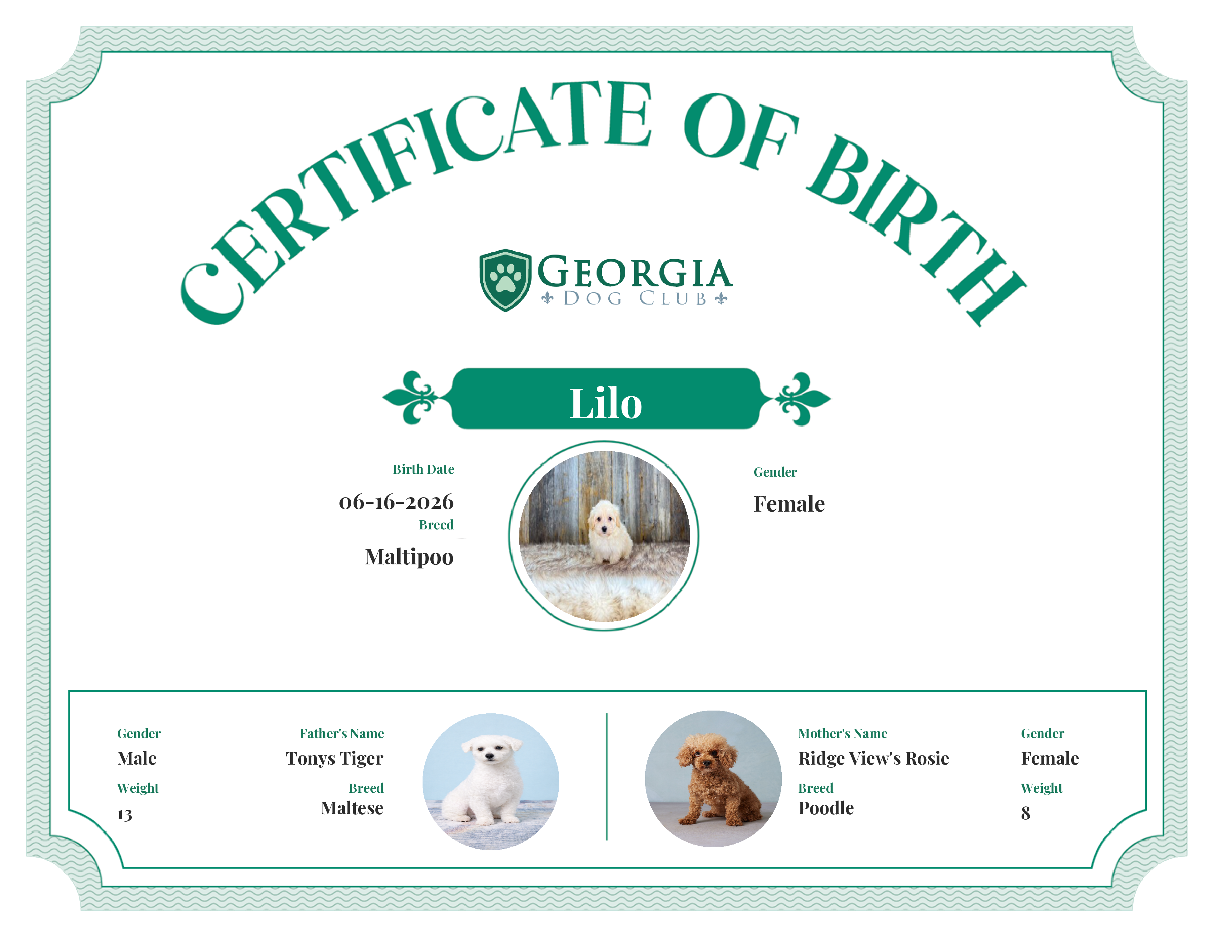 Lilo's Birth Certificate