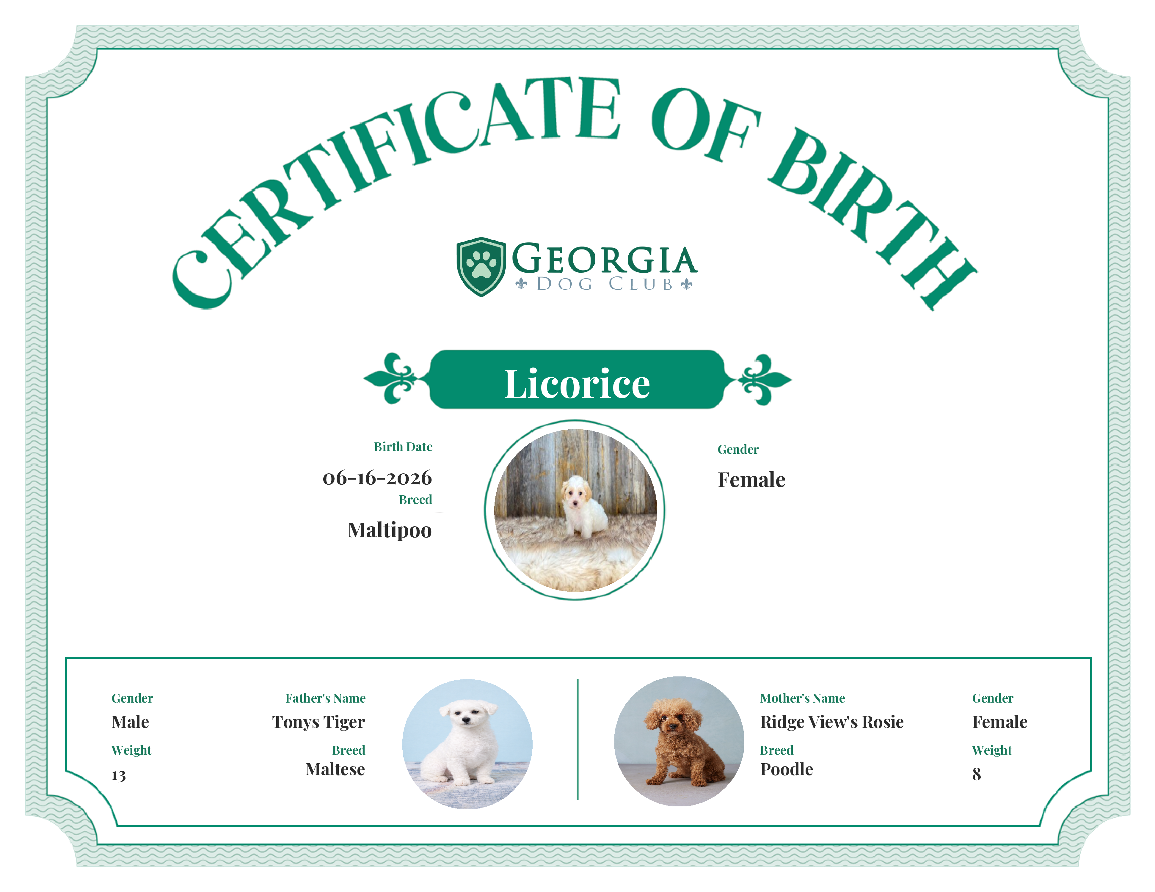 Licorice's Birth Certificate