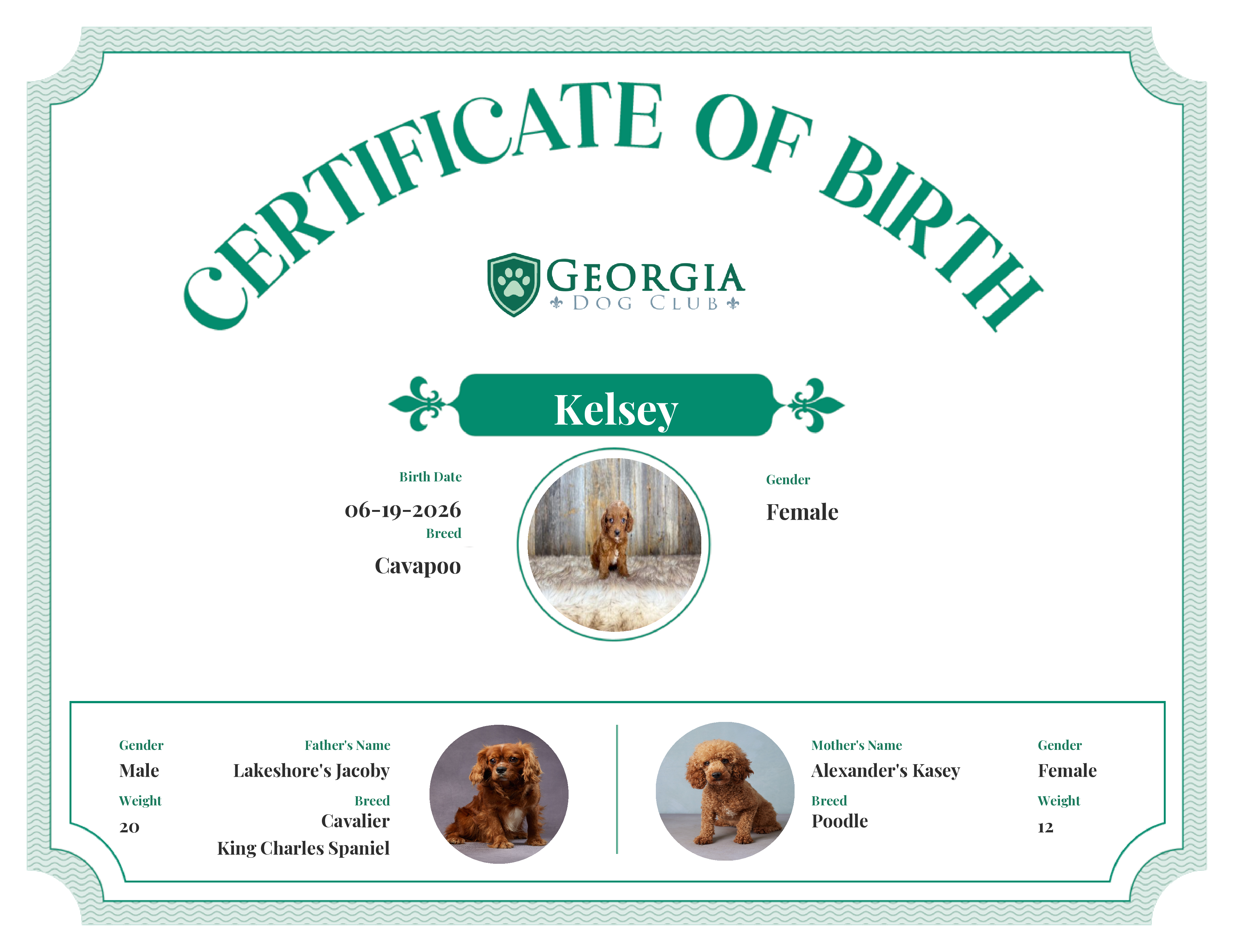 Kelsey's Birth Certificate
