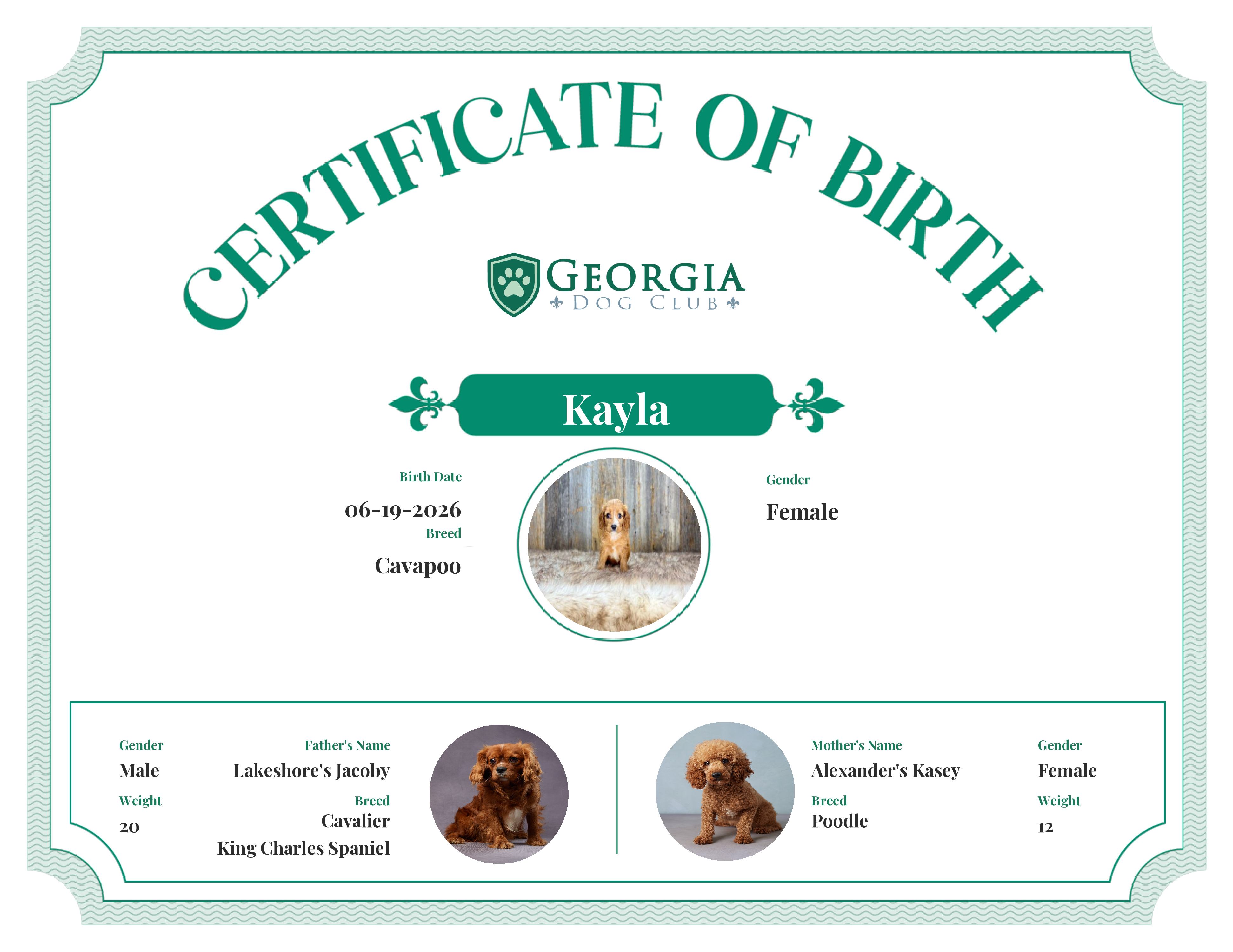 Kayla's Birth Certificate