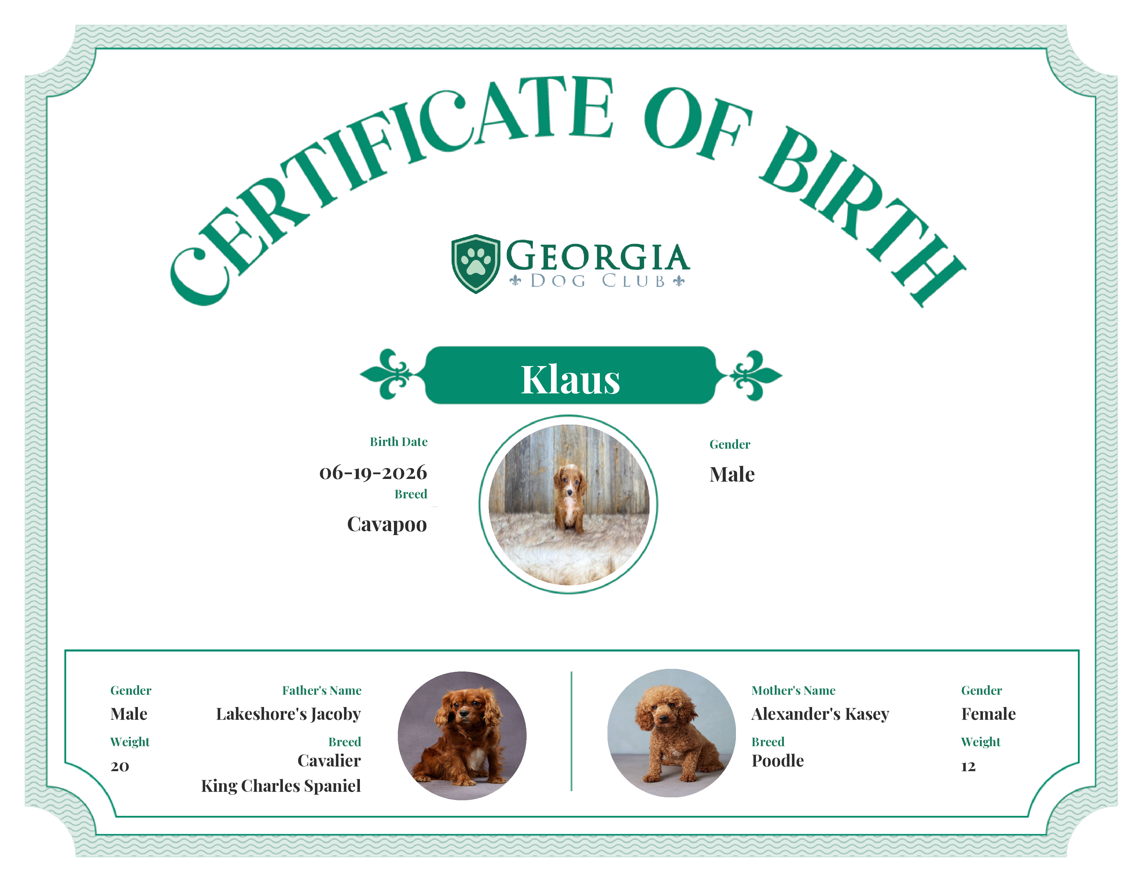 Klaus's Birth Certificate