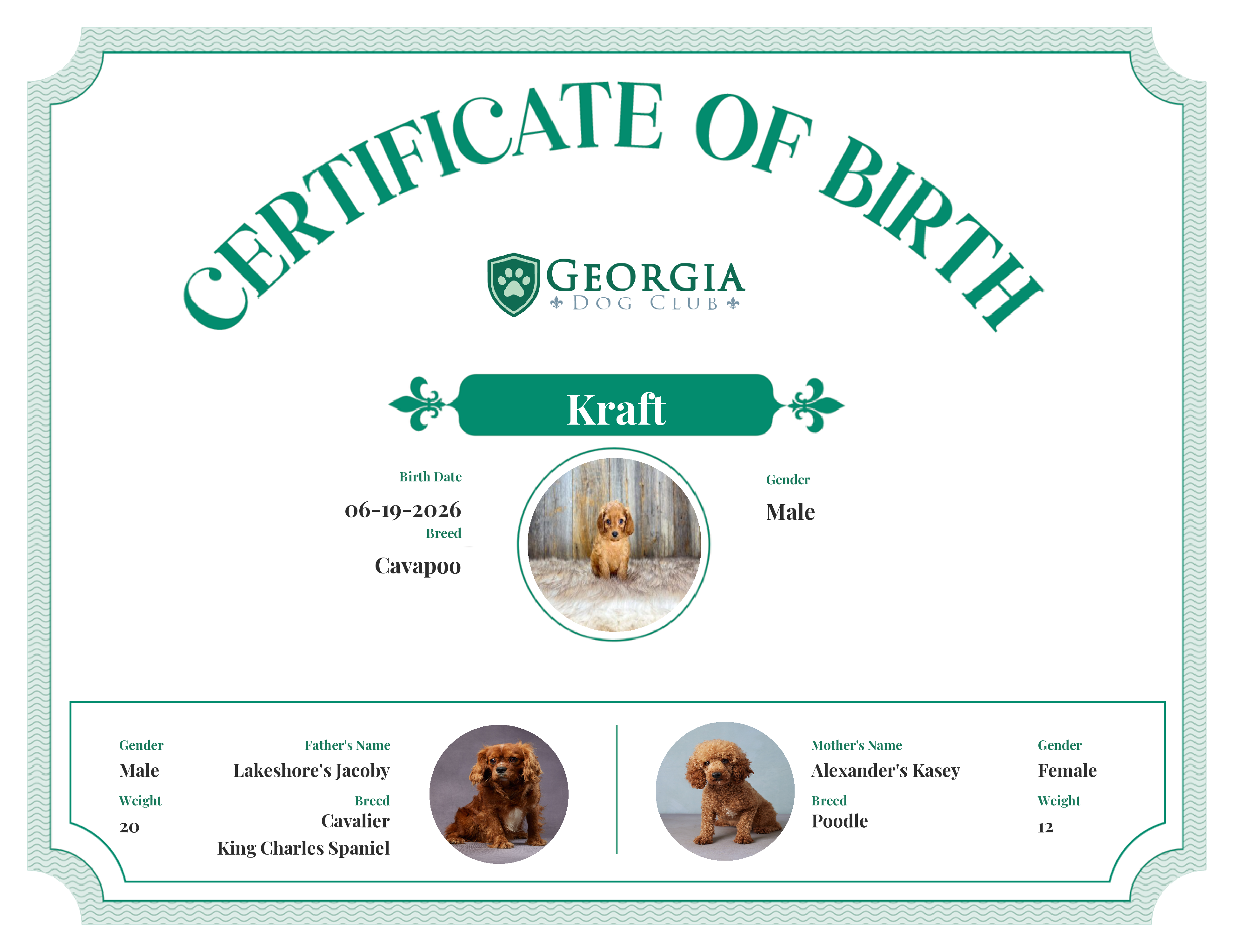 Kraft's Birth Certificate