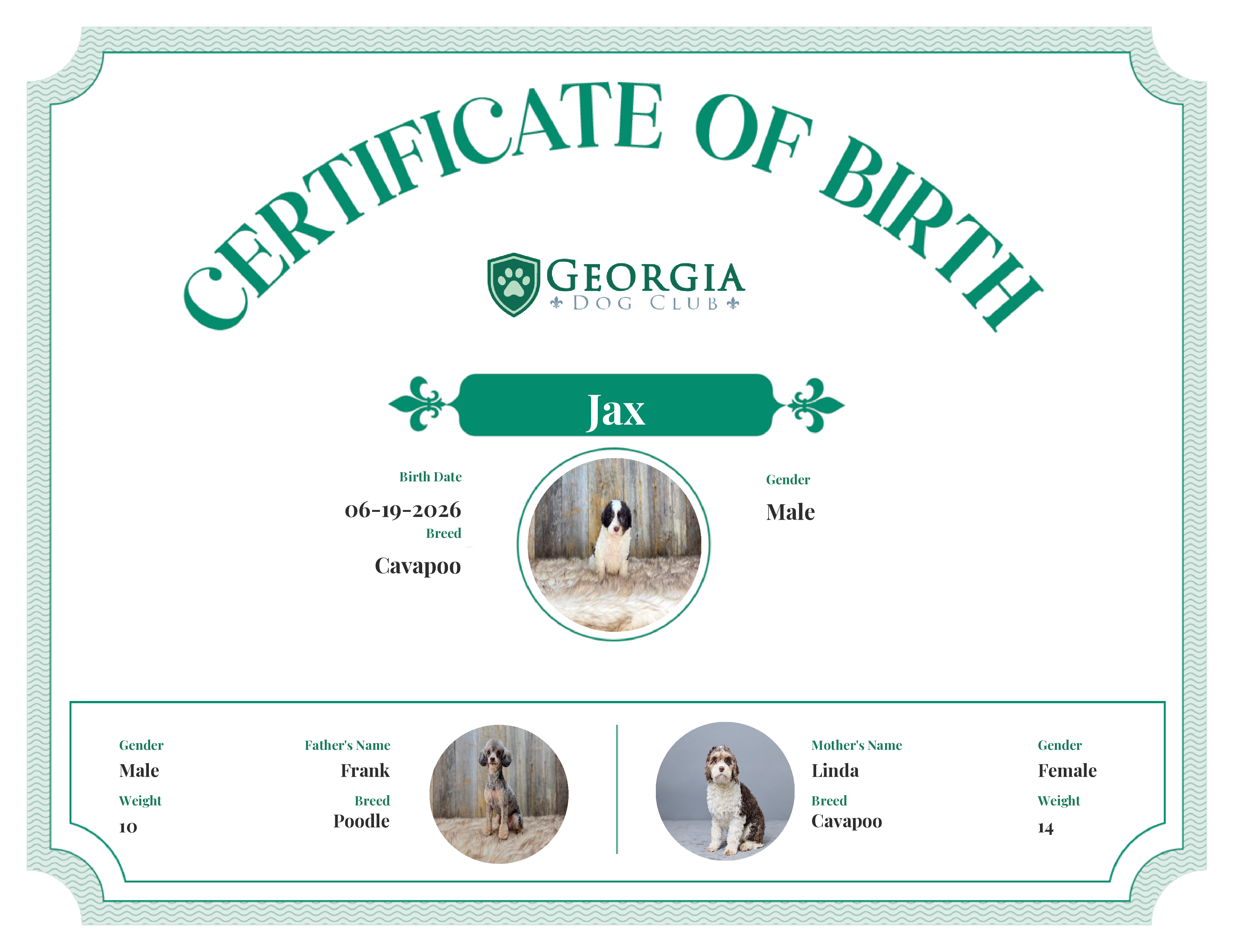 Jax's Birth Certificate