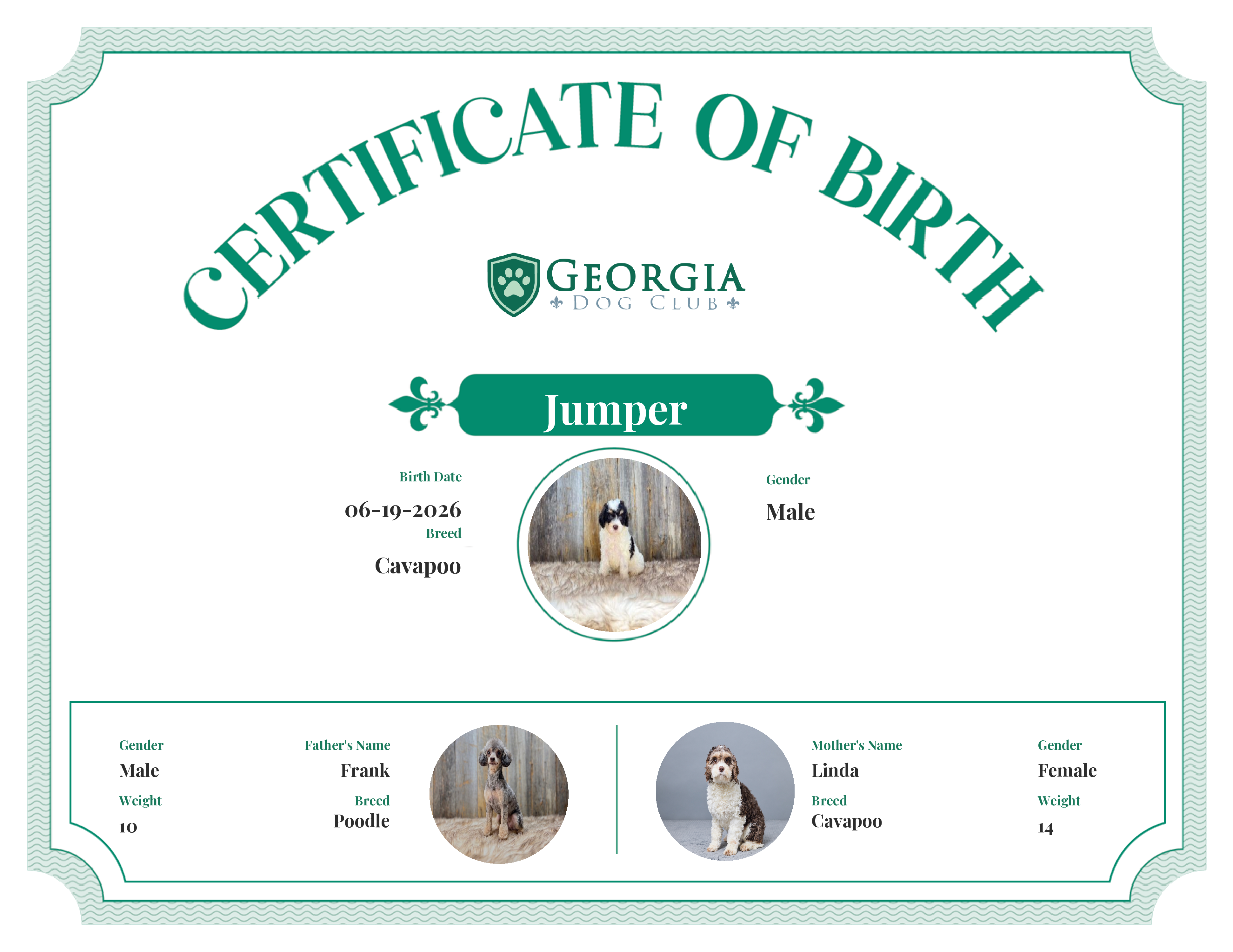 Jumper's Birth Certificate