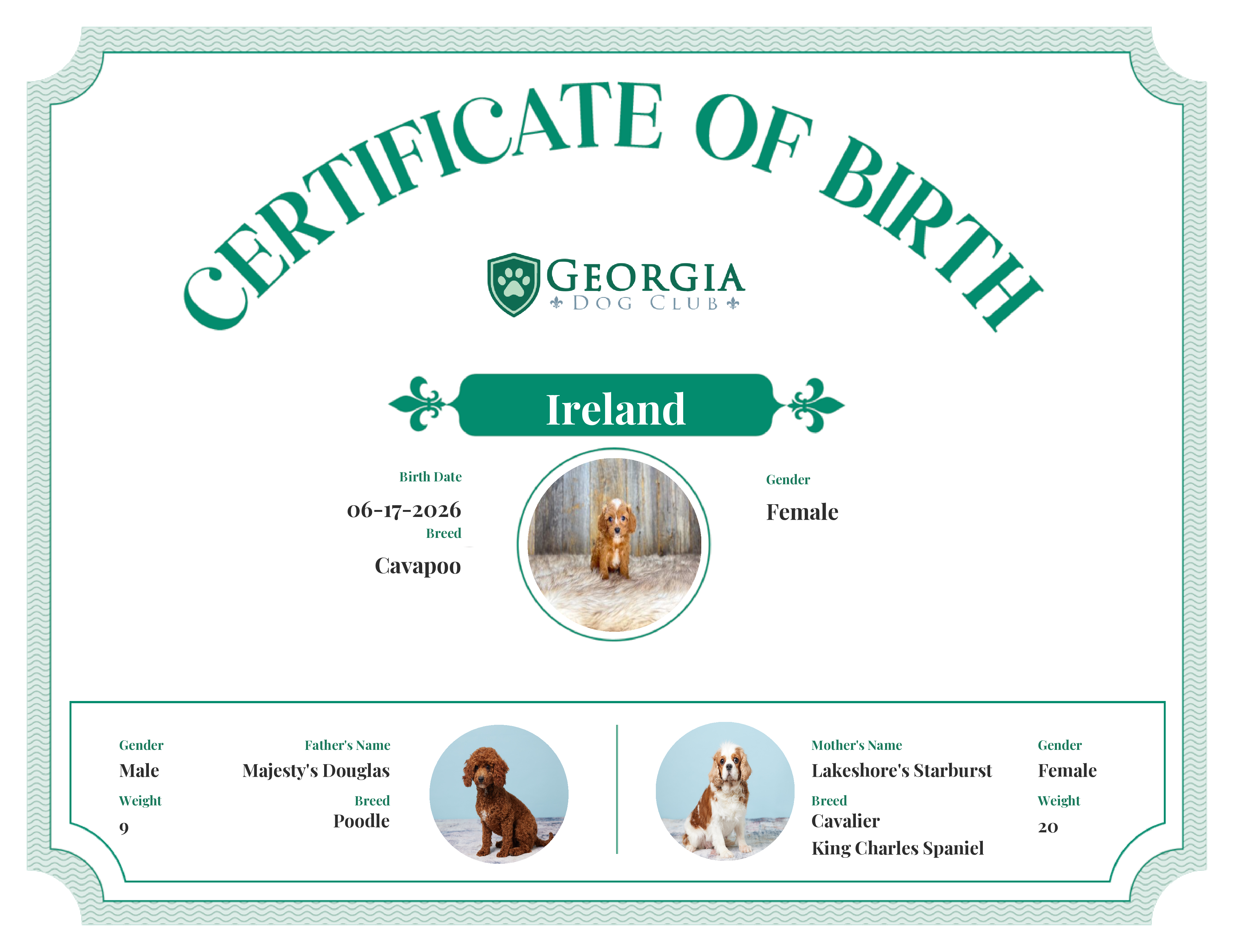 Ireland's Birth Certificate