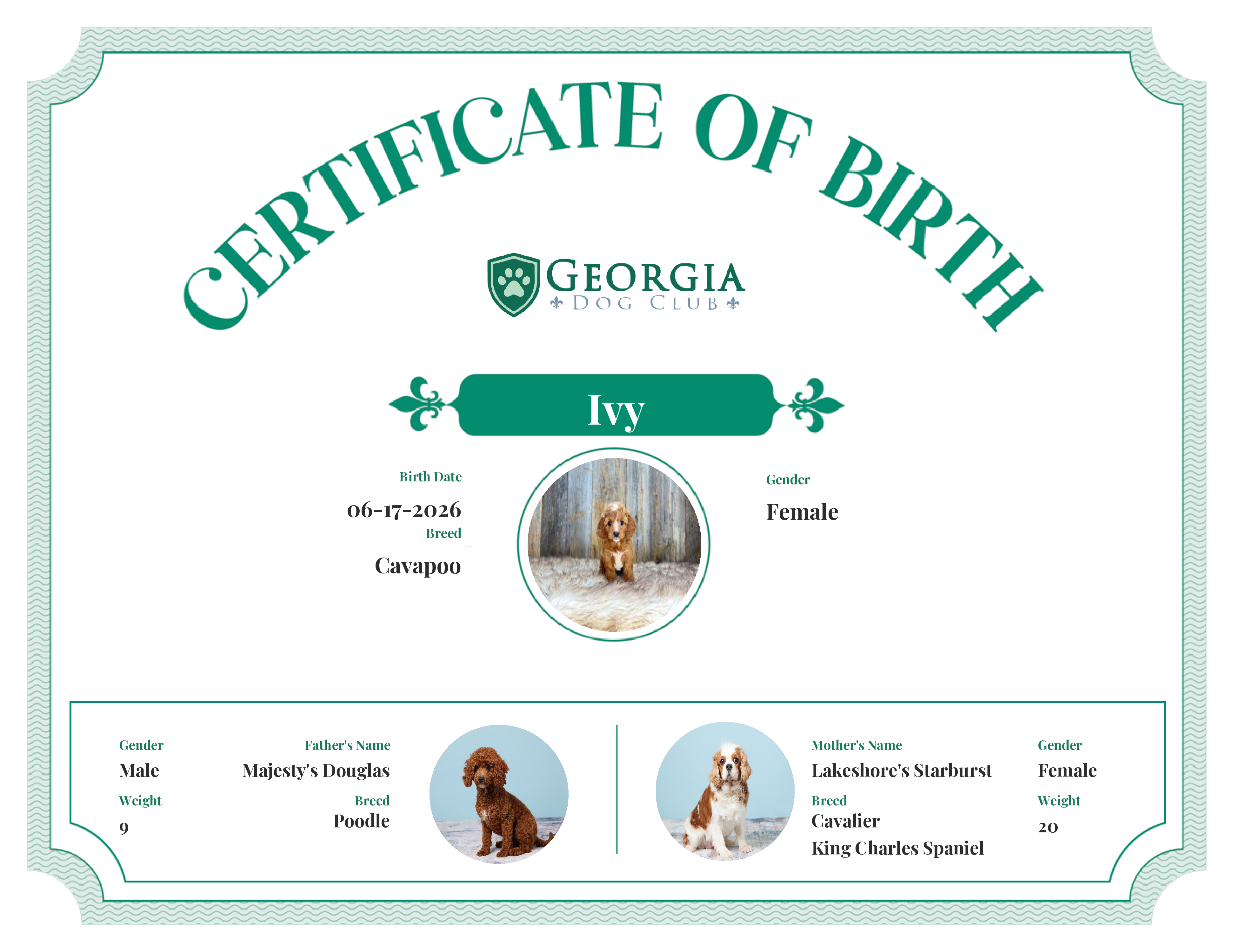 Ivy's Birth Certificate