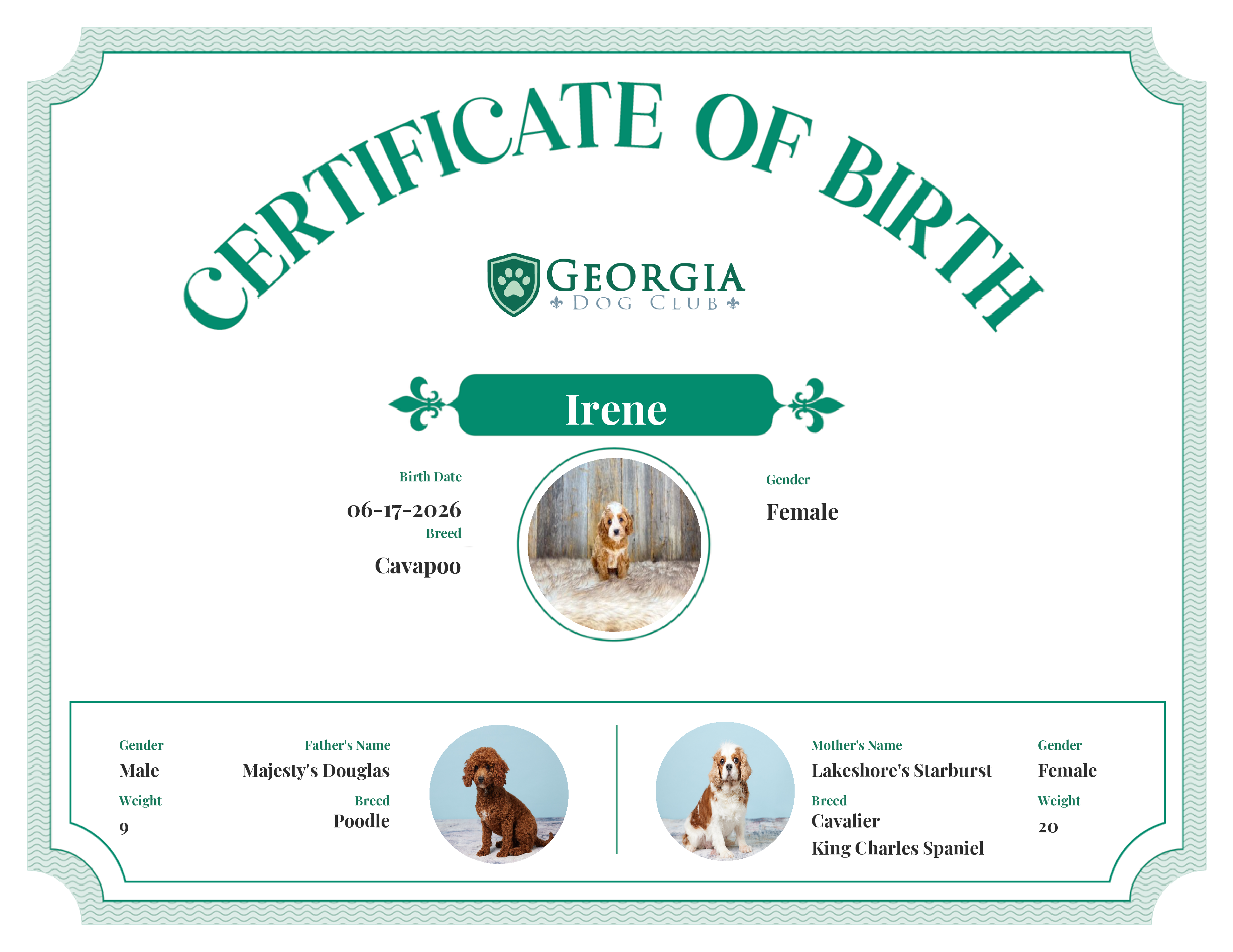 Irene's Birth Certificate