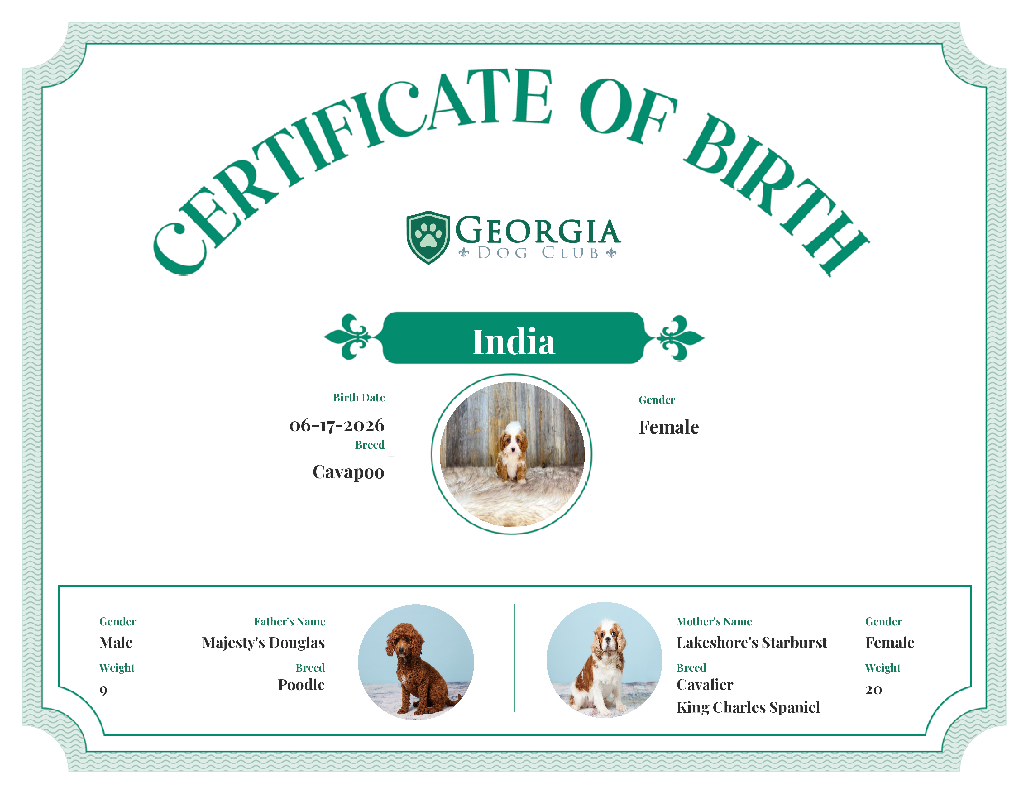 India's Birth Certificate