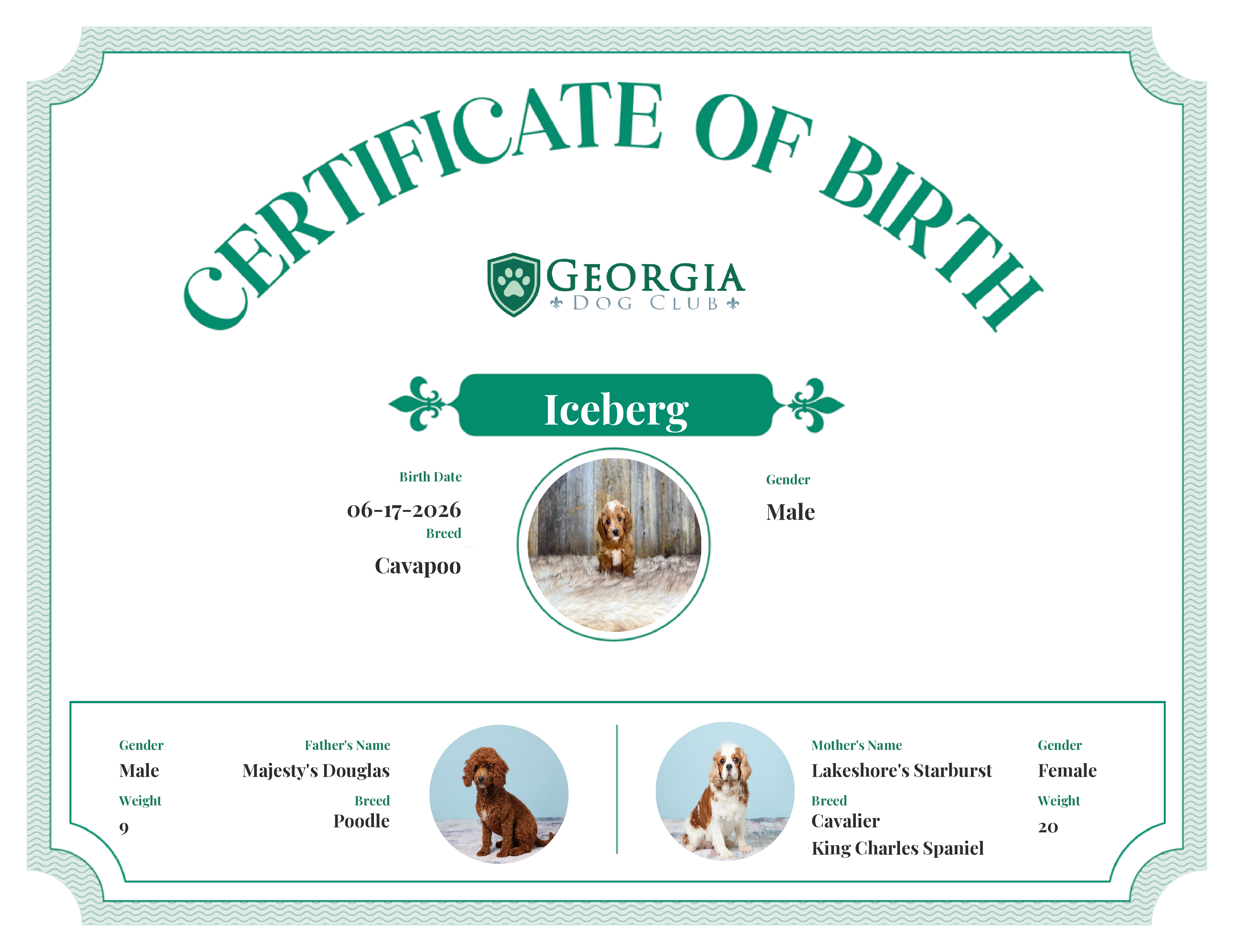 Iceberg's Birth Certificate