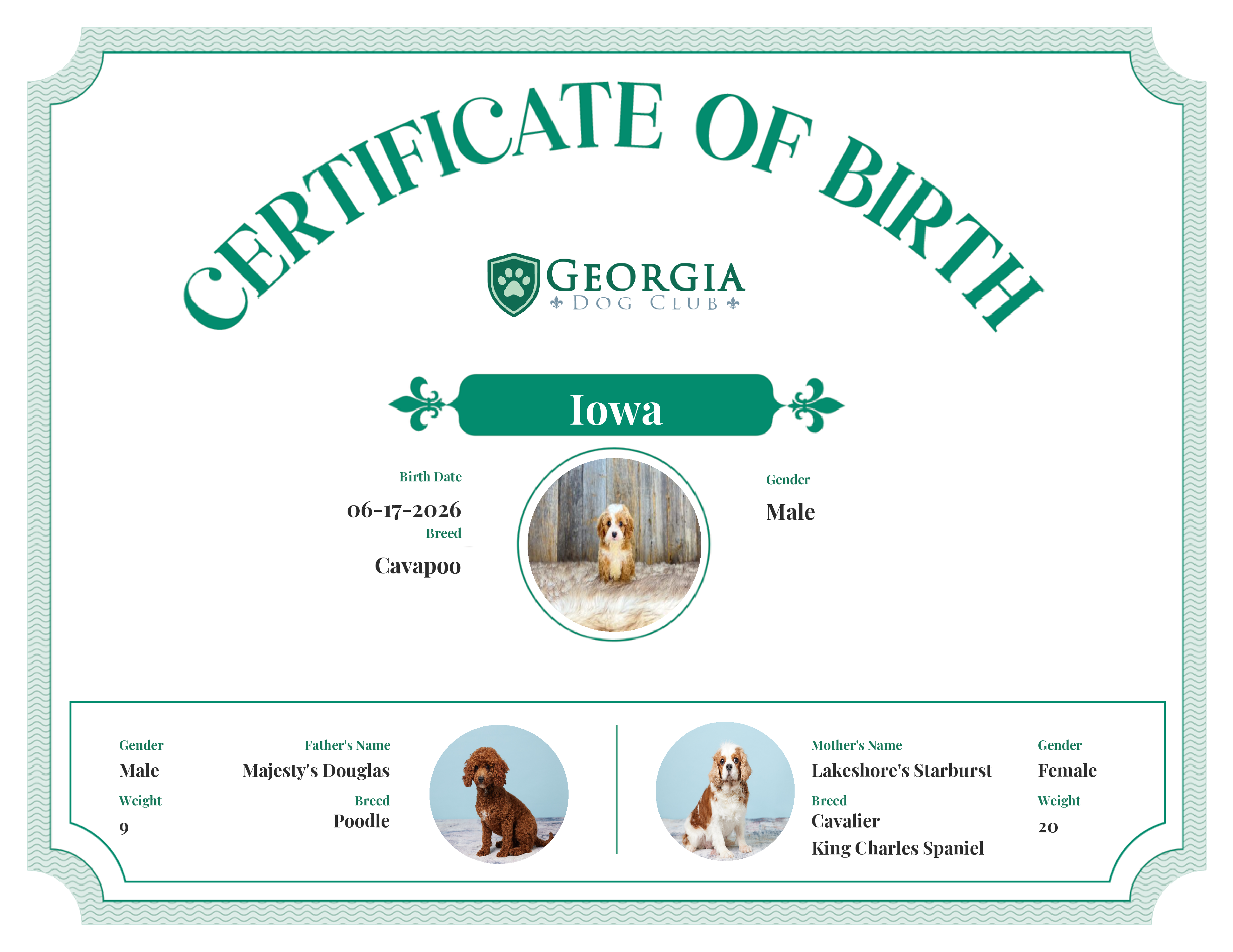 Iowa's Birth Certificate