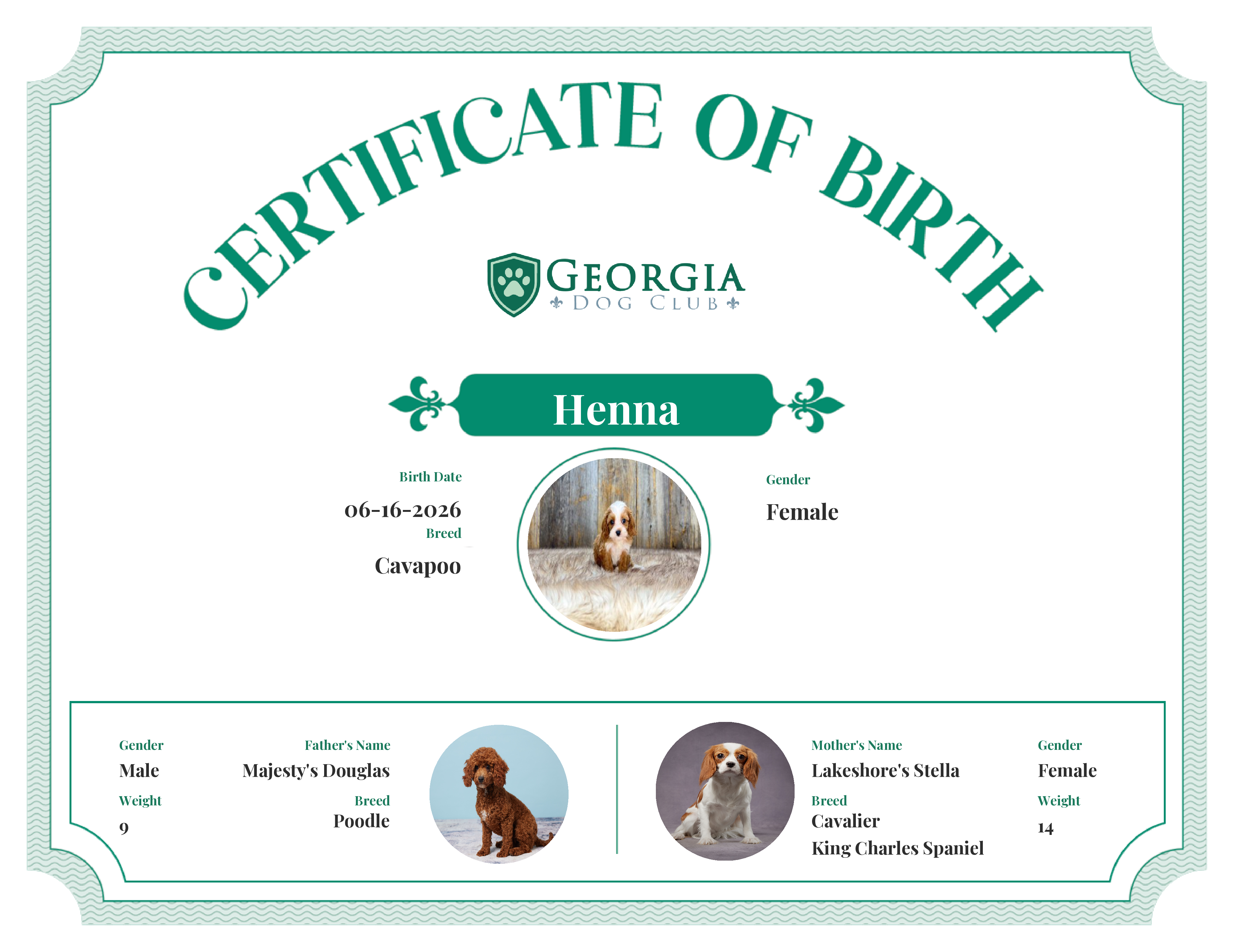 Henna's Birth Certificate
