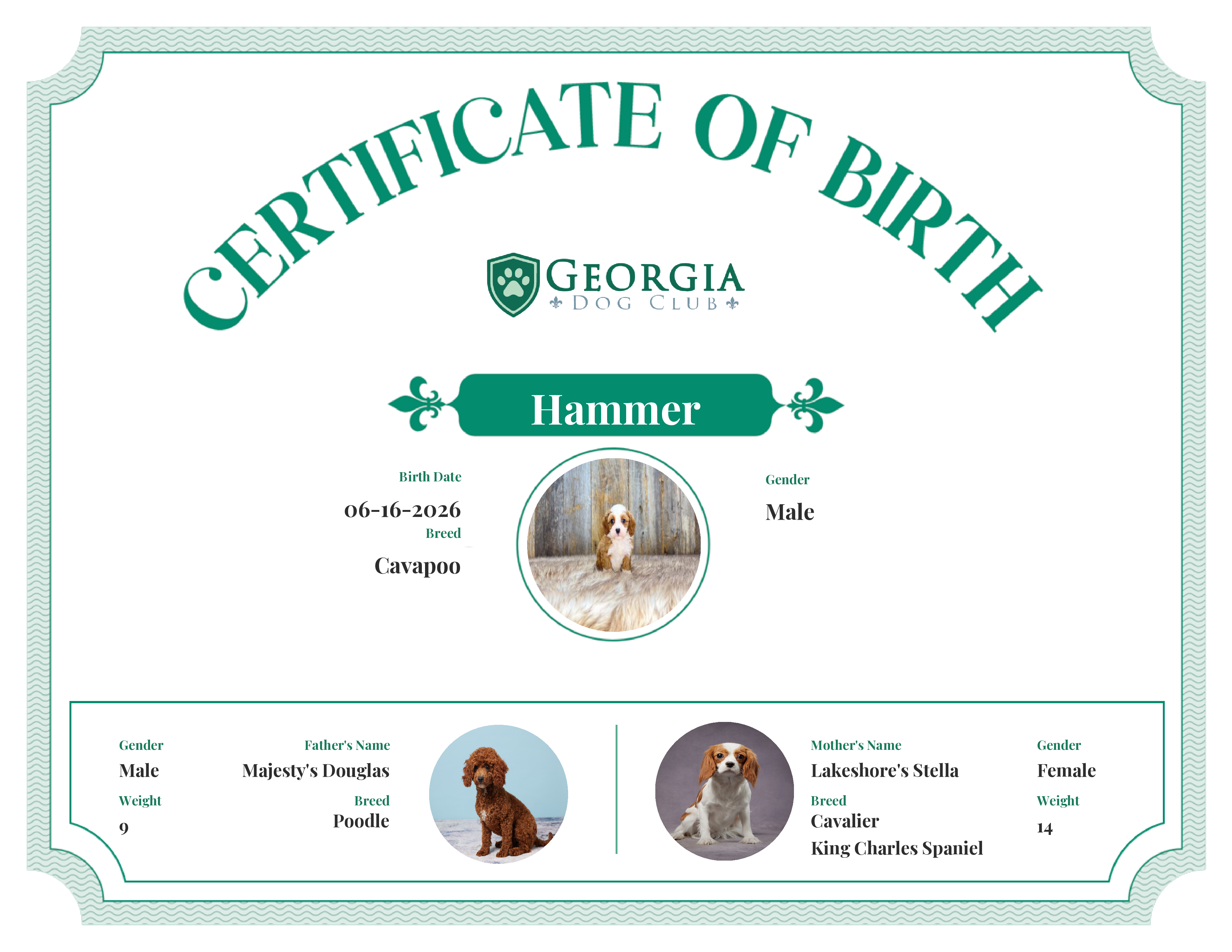 Hammer's Birth Certificate