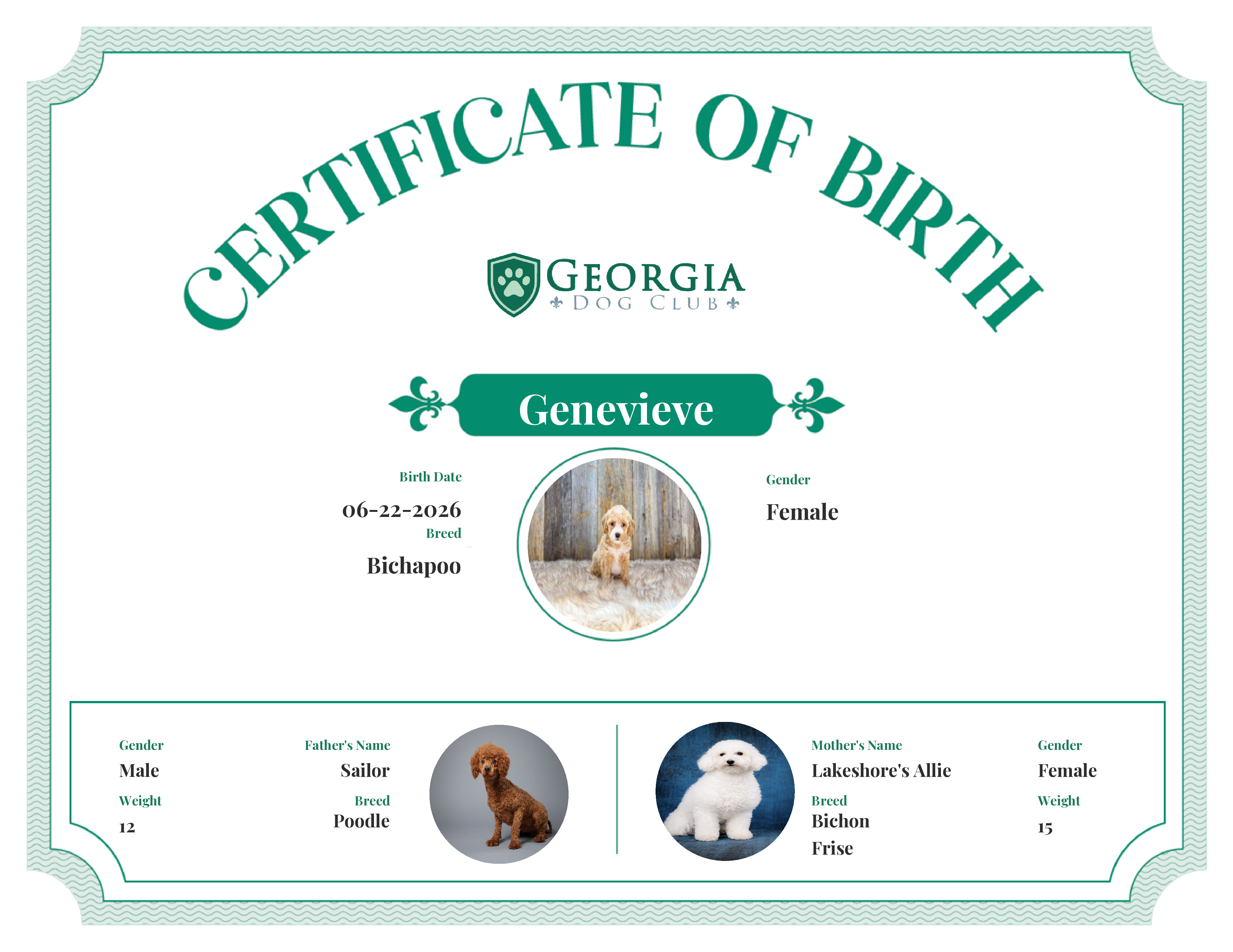 Genevieve's Birth Certificate