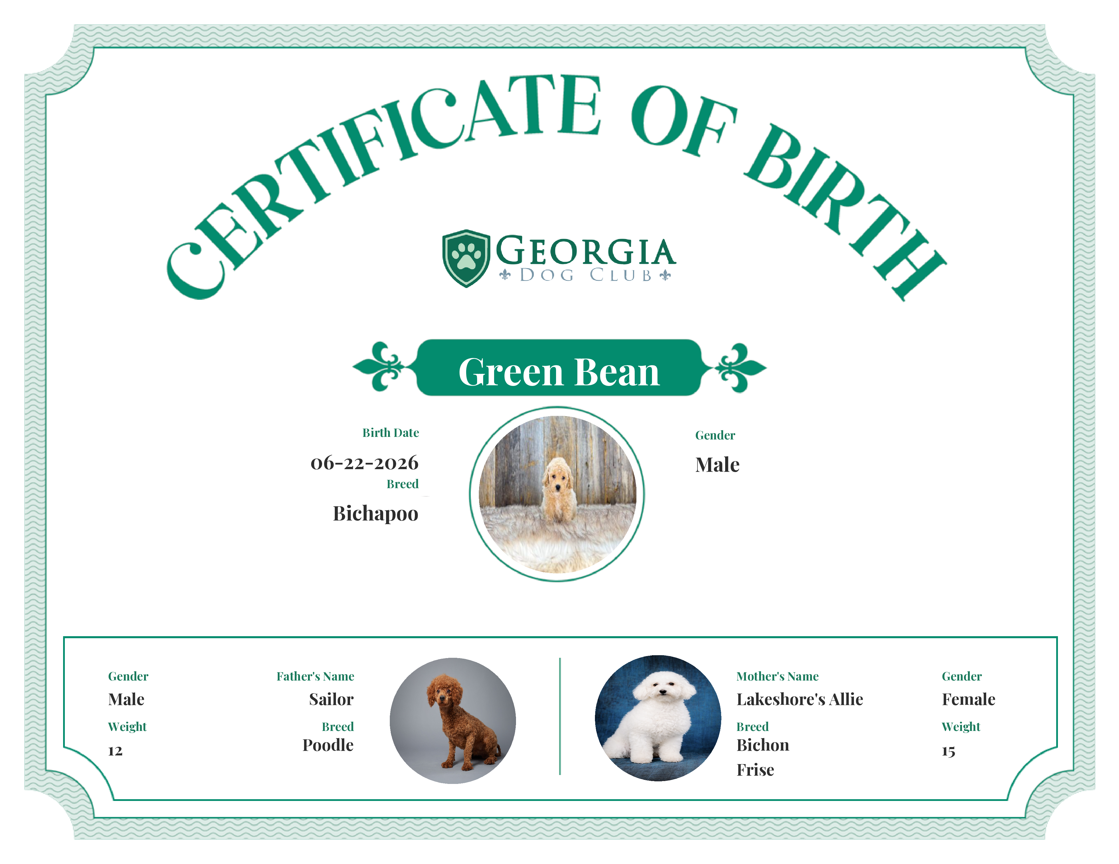 Green Bean's Birth Certificate