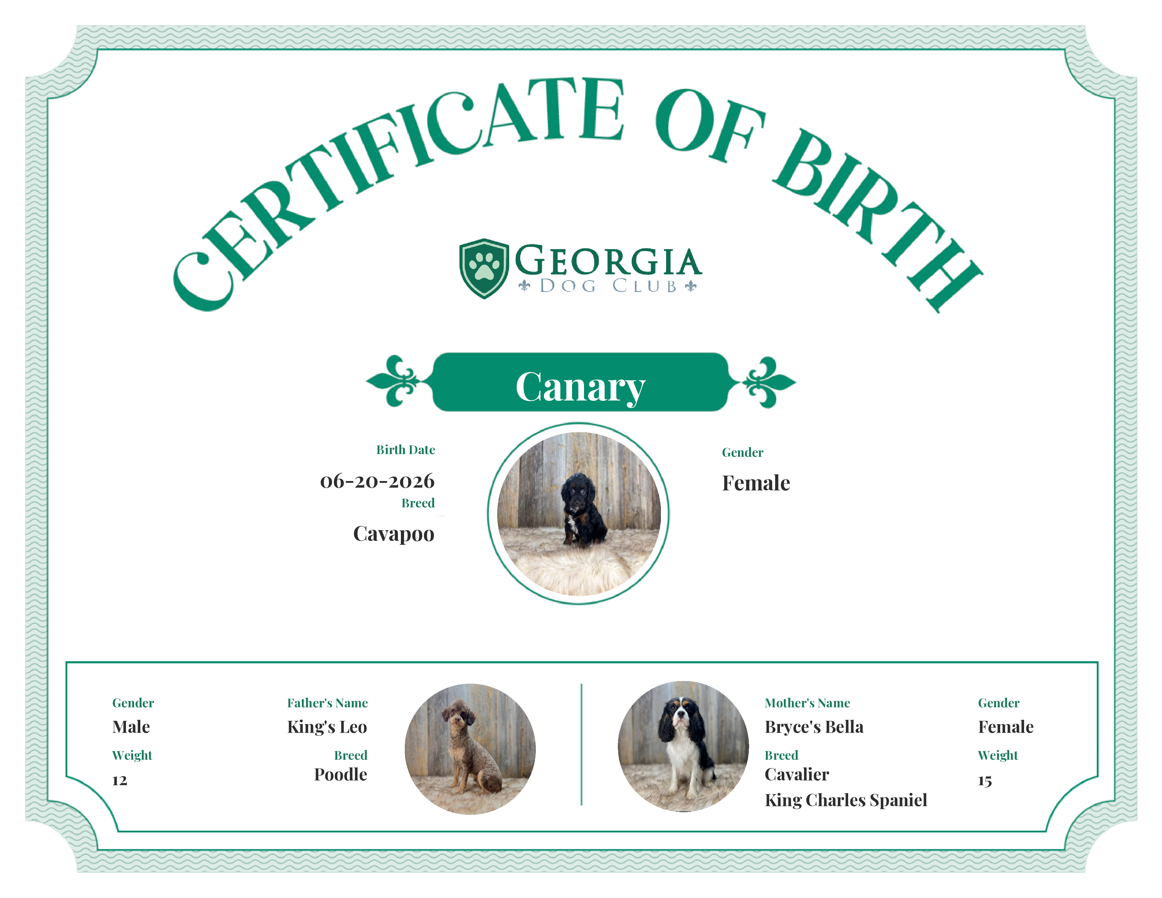 Canary's Birth Certificate