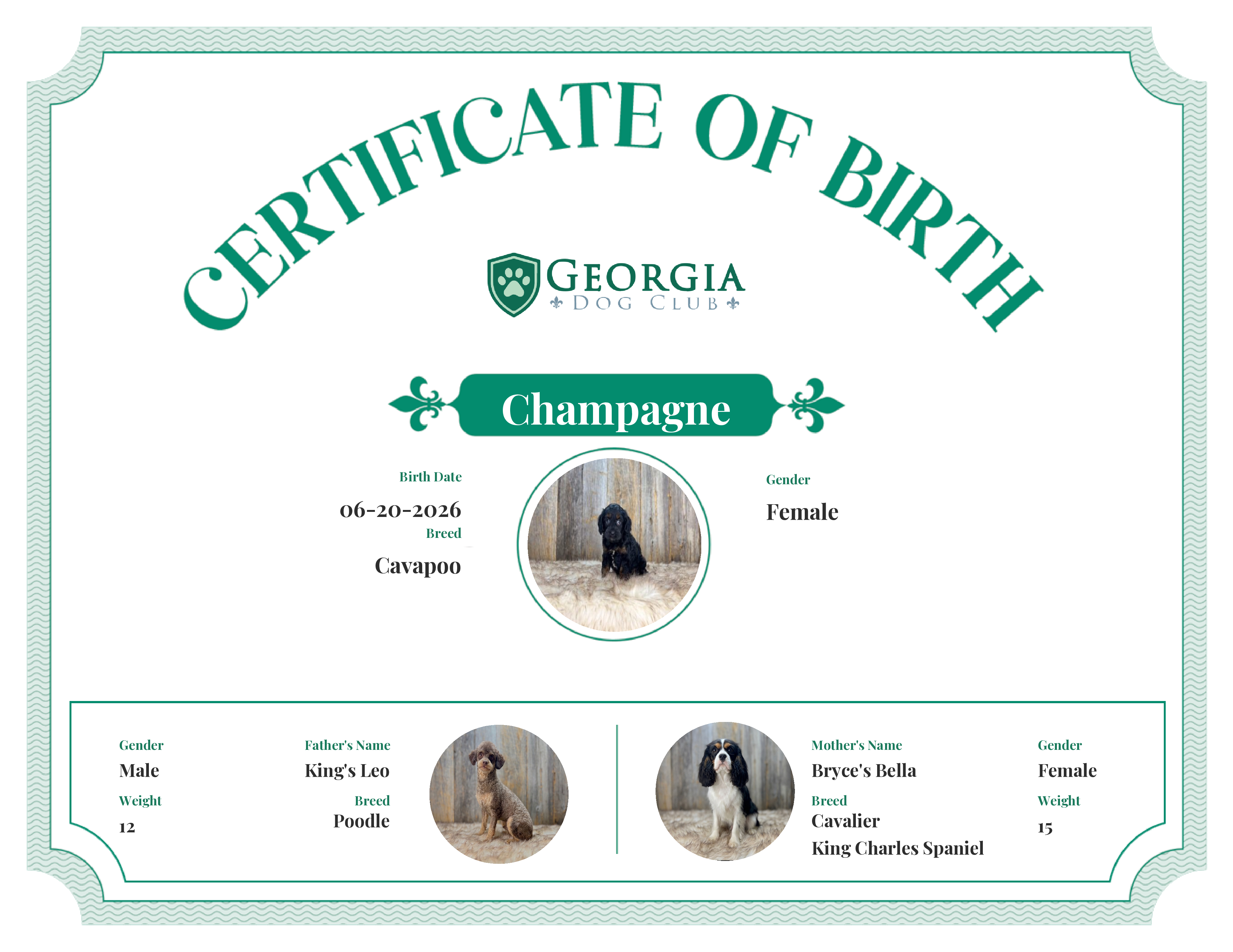 Champagne's Birth Certificate