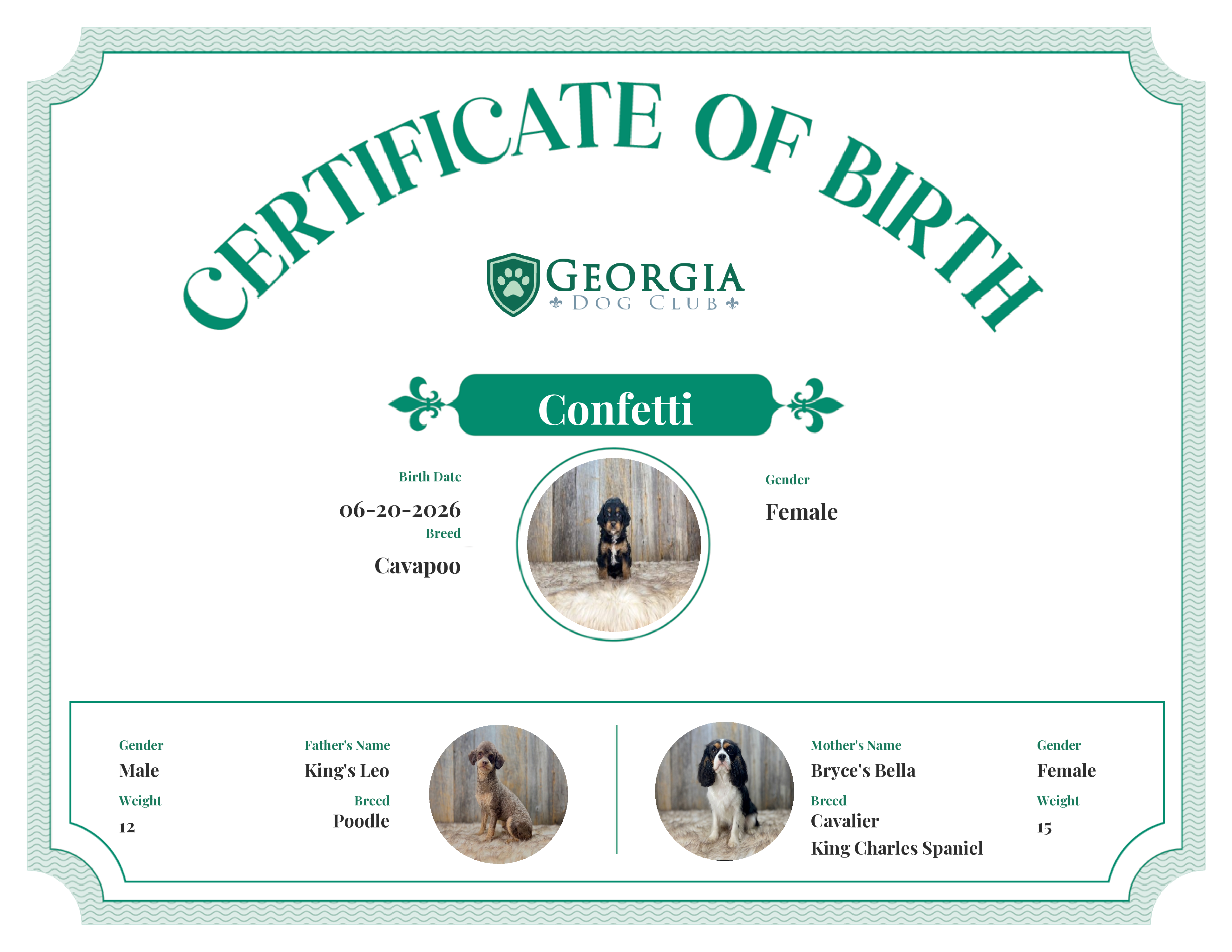 Confetti's Birth Certificate