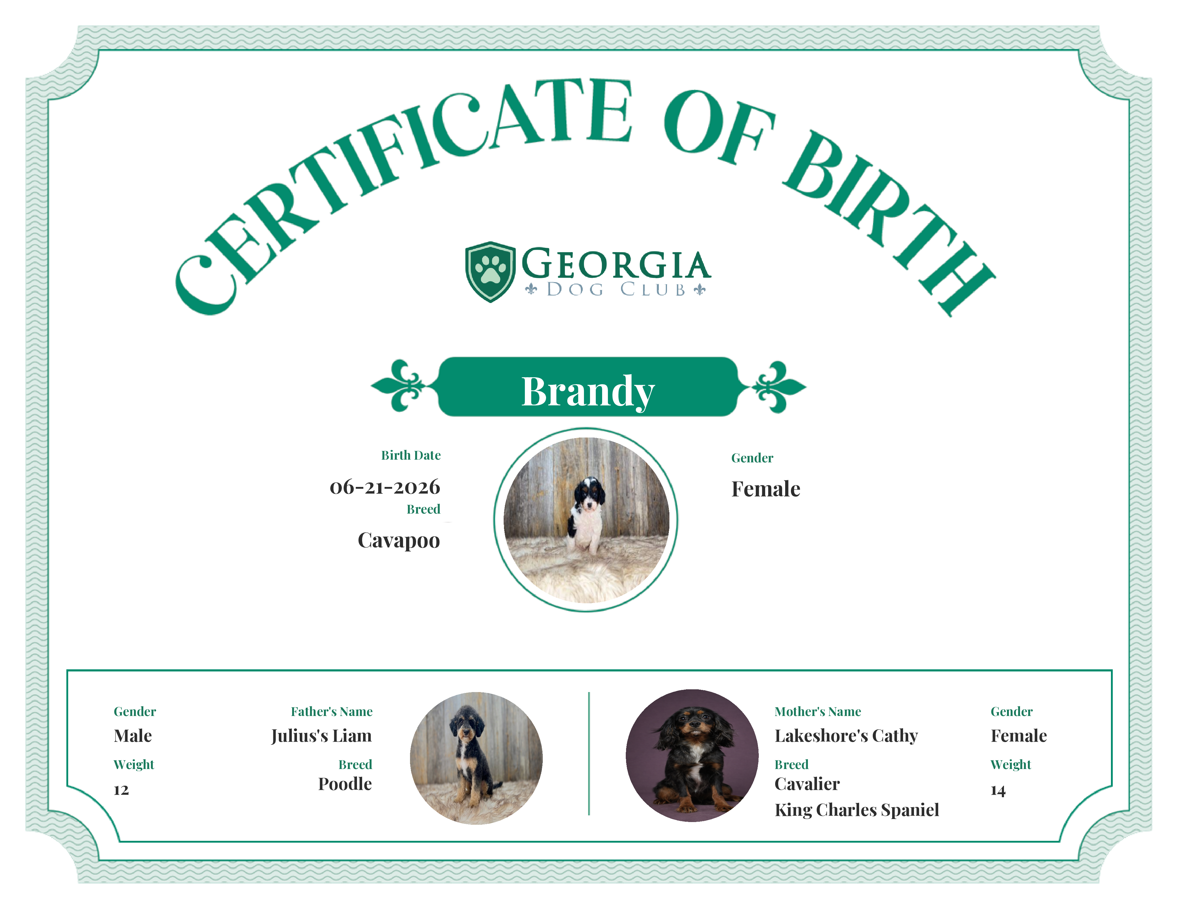 Brandy's Birth Certificate