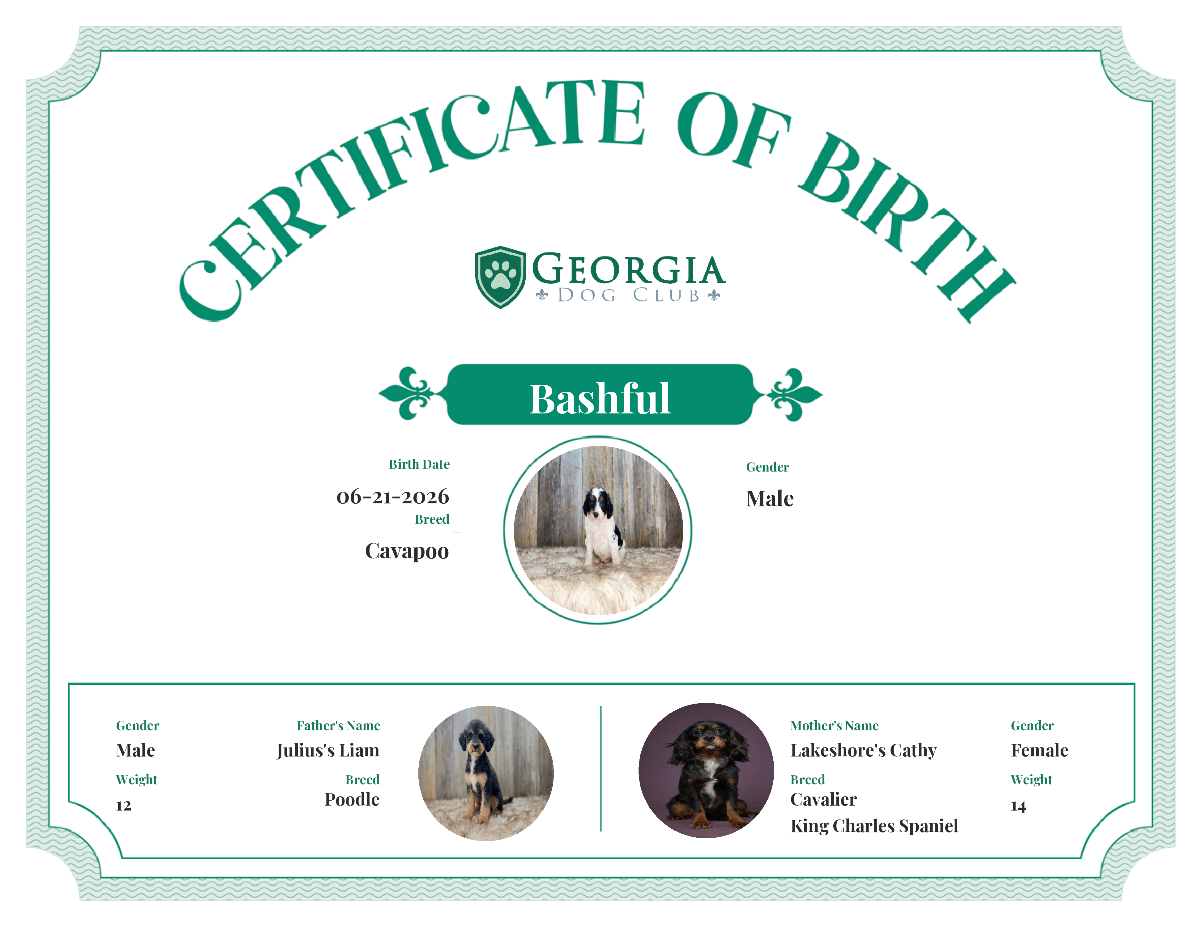 Bashful's Birth Certificate