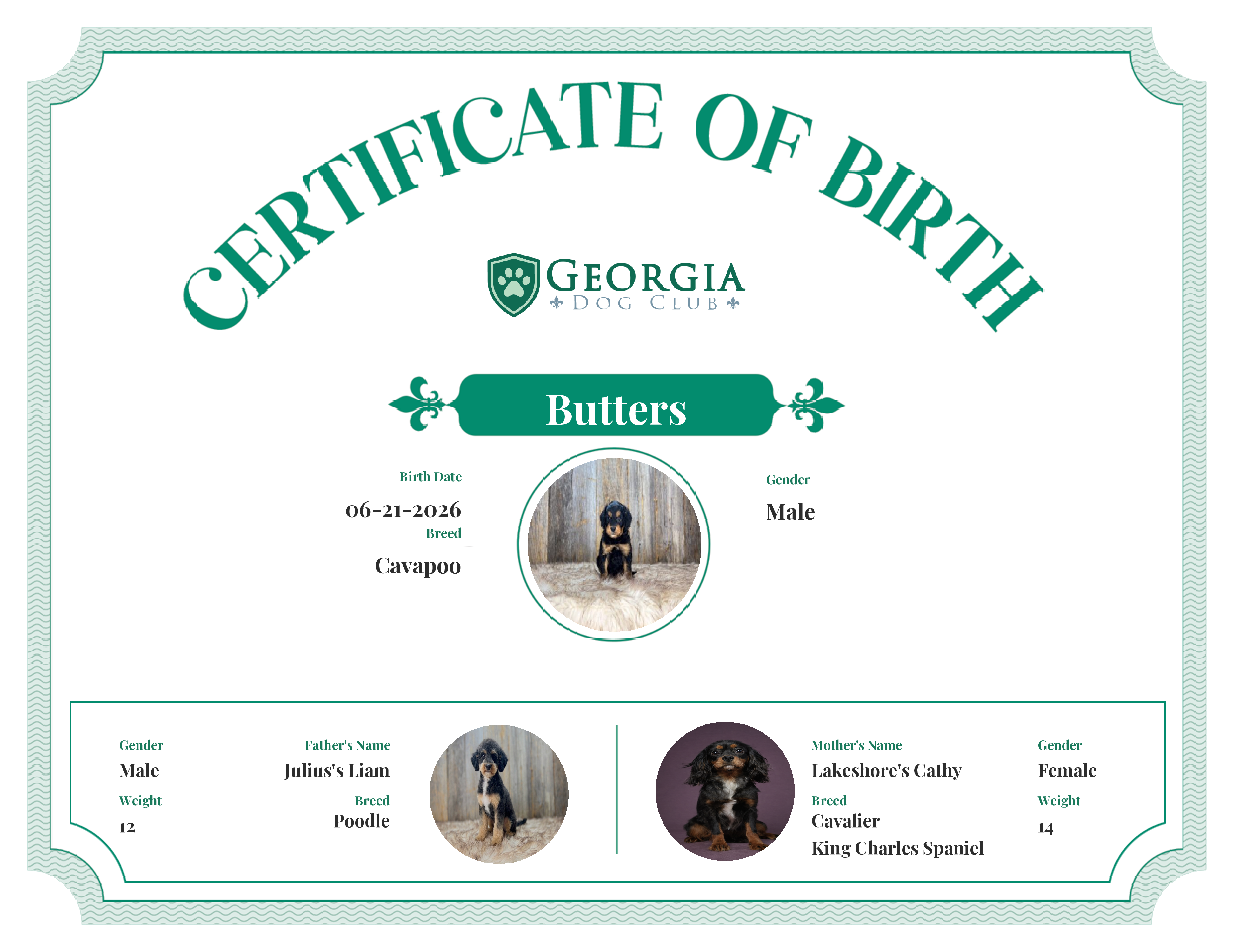 Butters's Birth Certificate
