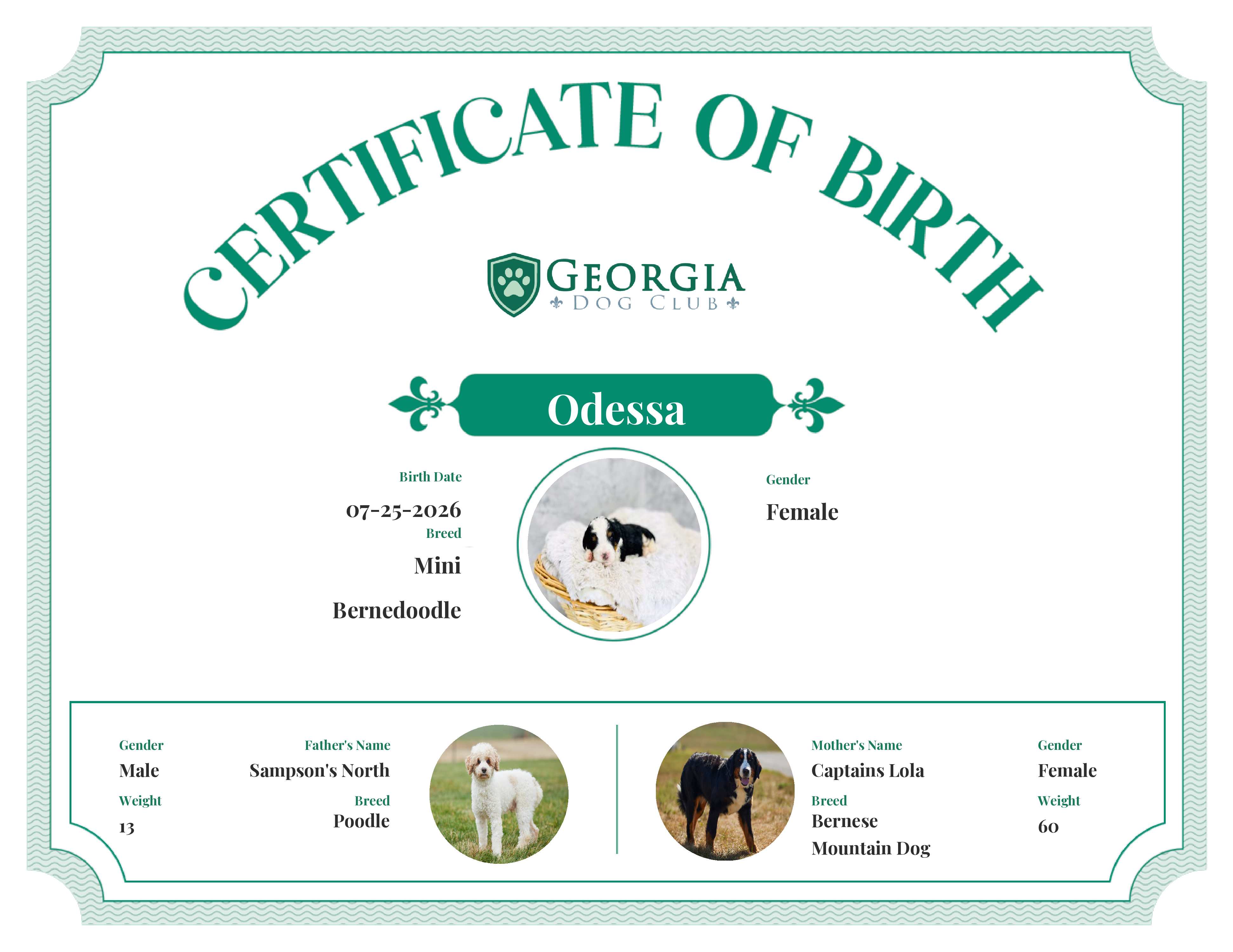 Odessa's Birth Certificate