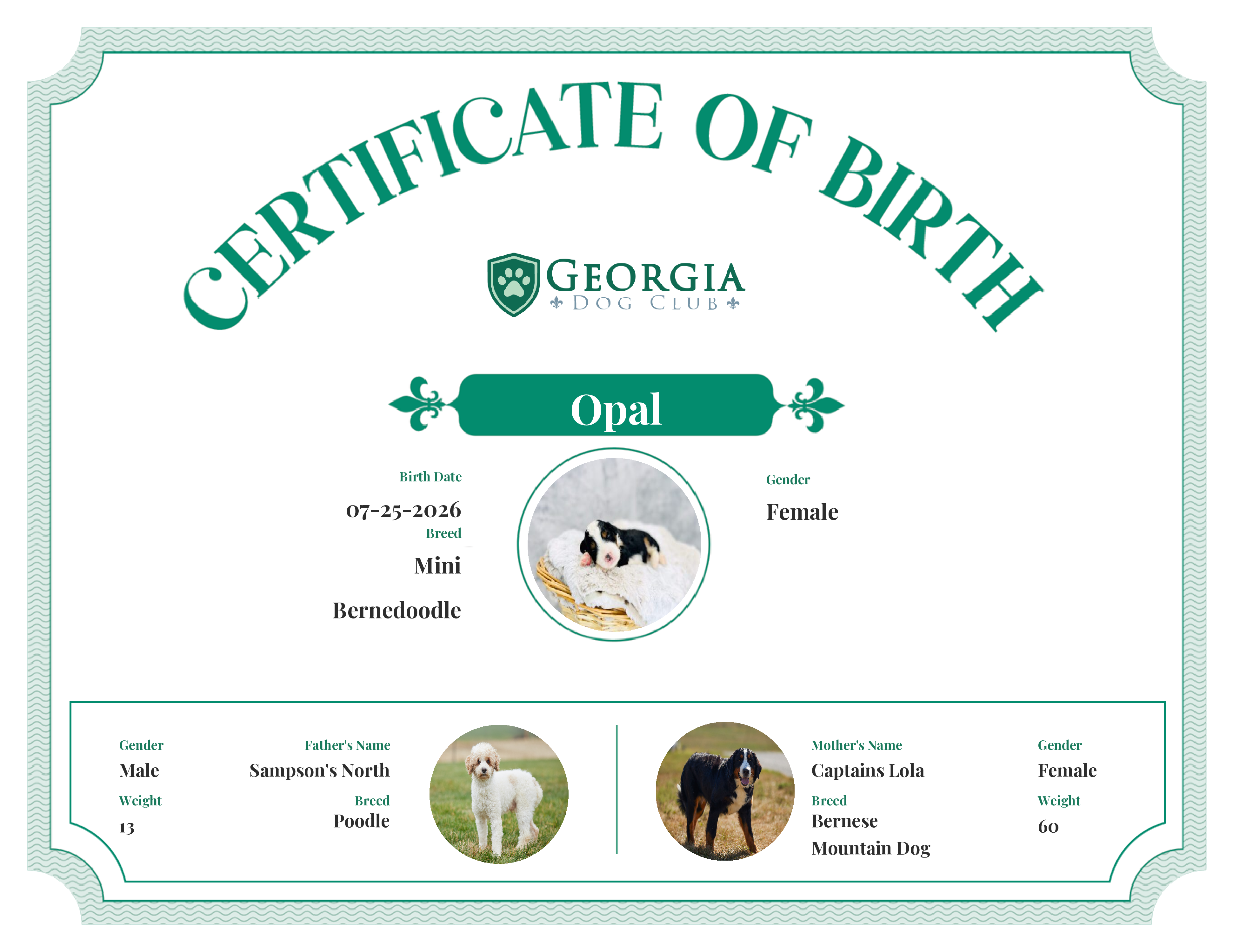 Opal's Birth Certificate