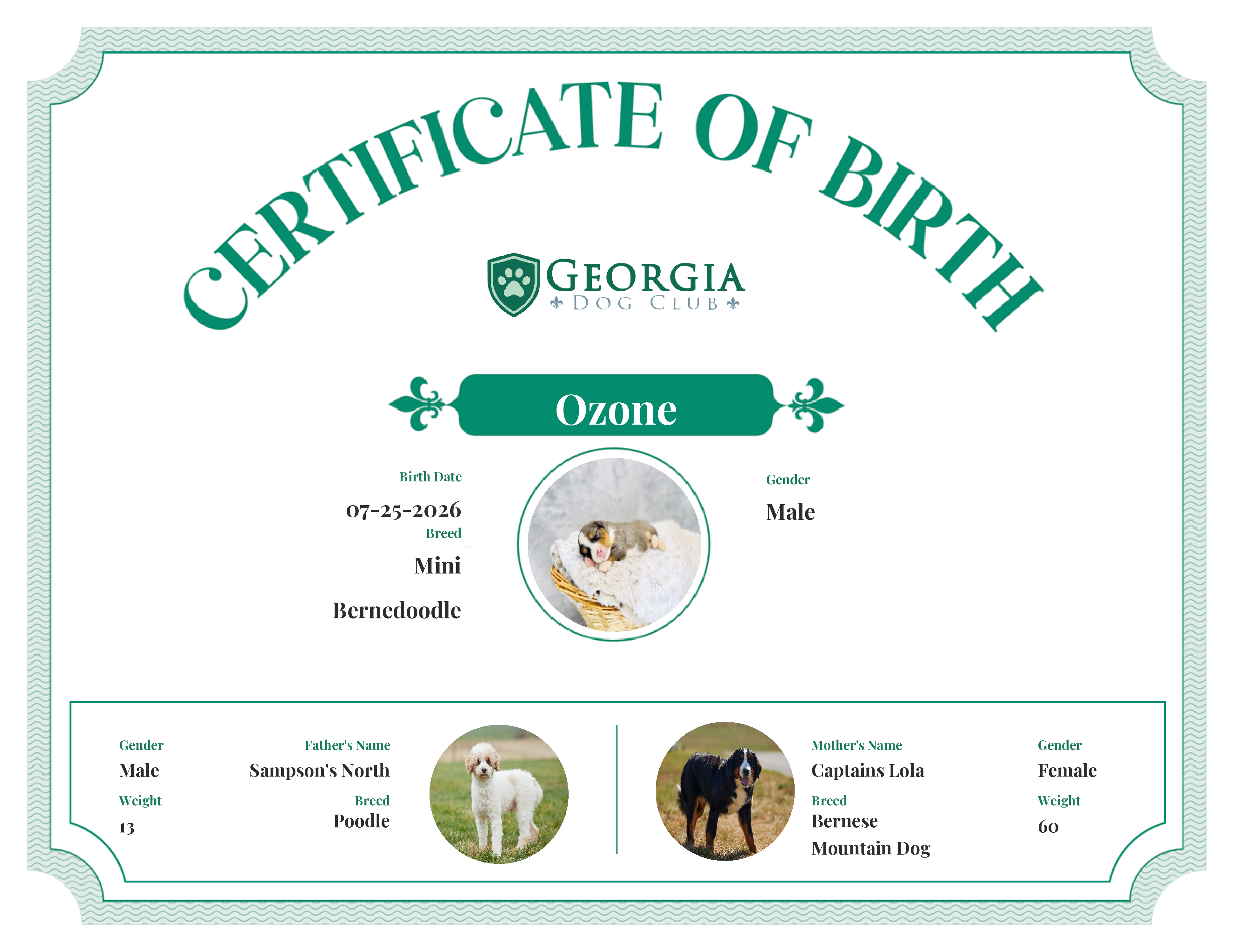 Ozone's Birth Certificate