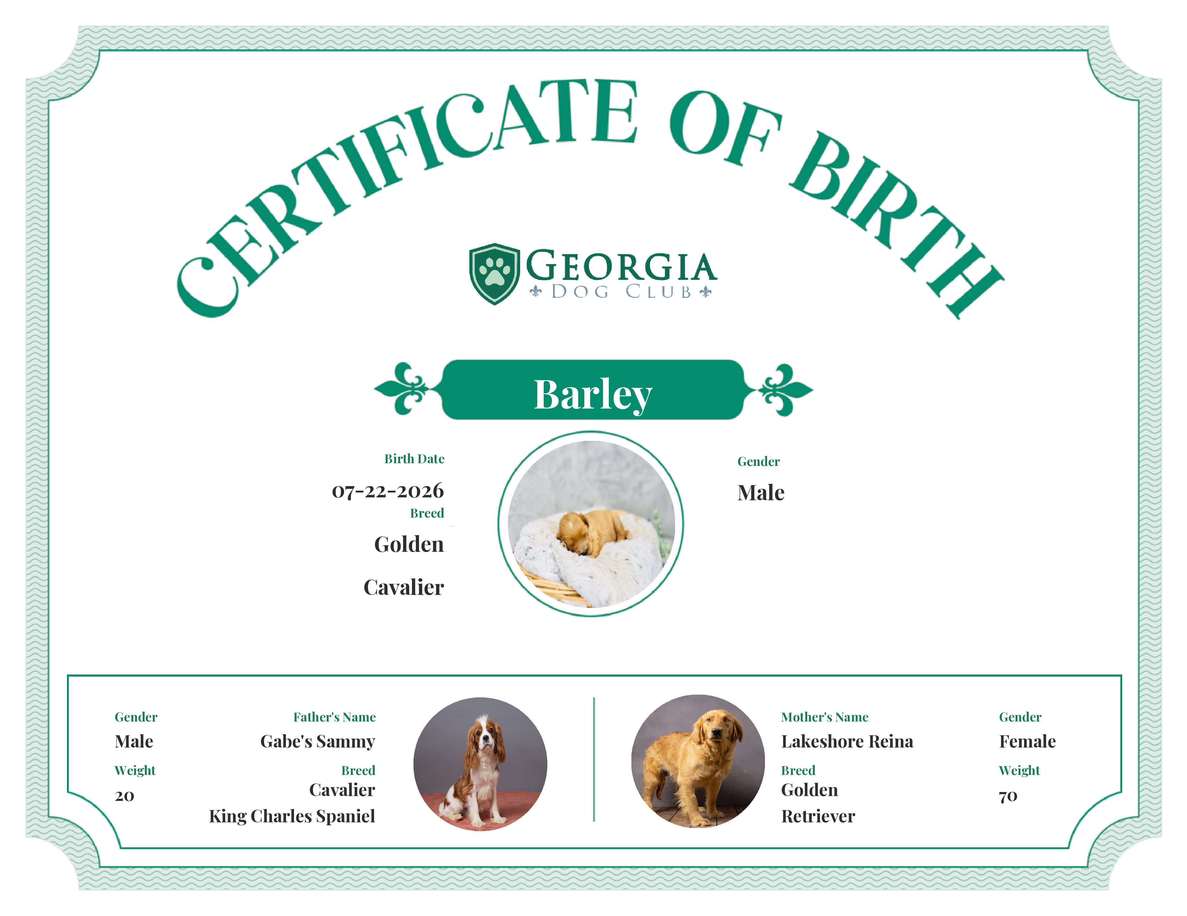 Barley's Birth Certificate