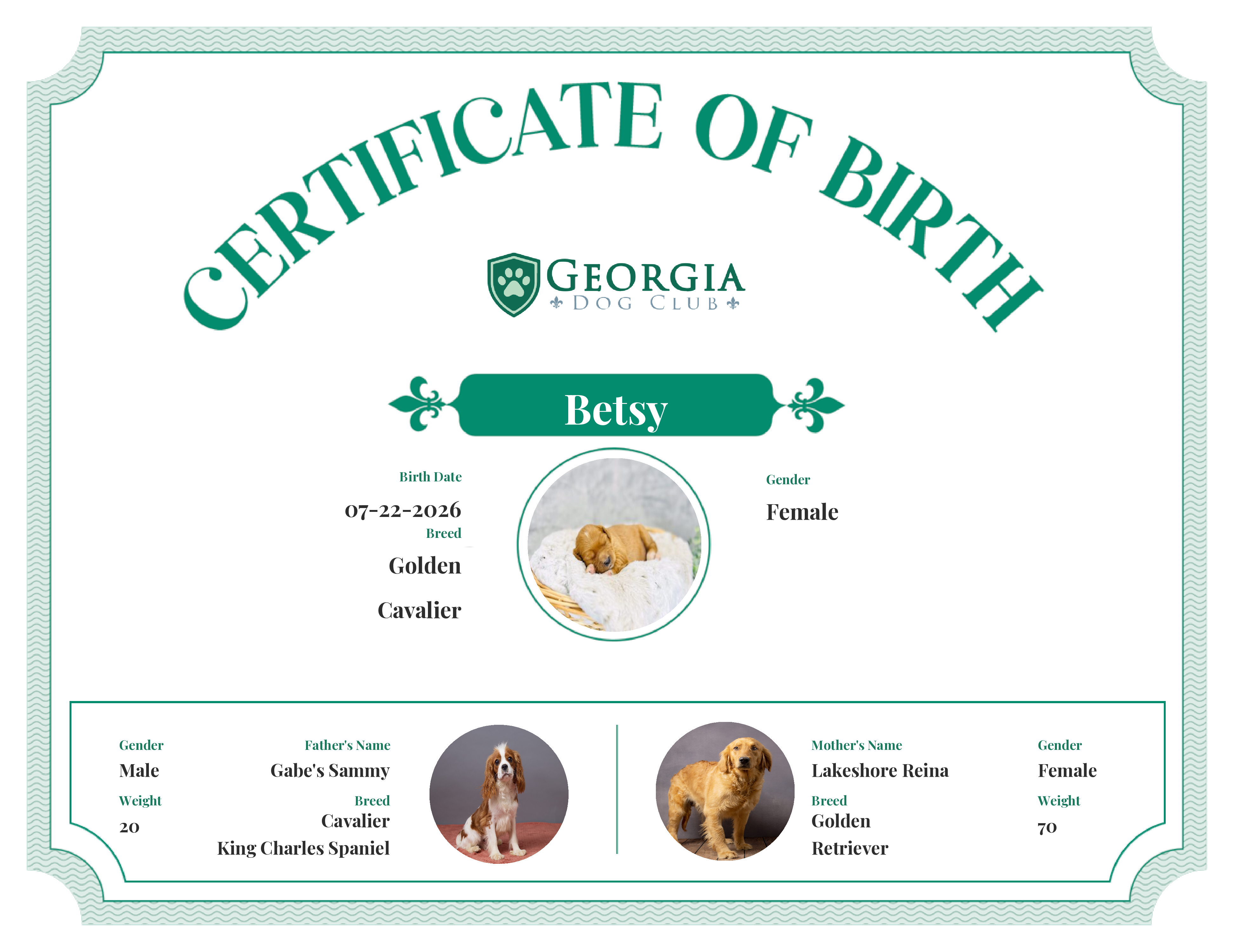 Betsy's Birth Certificate