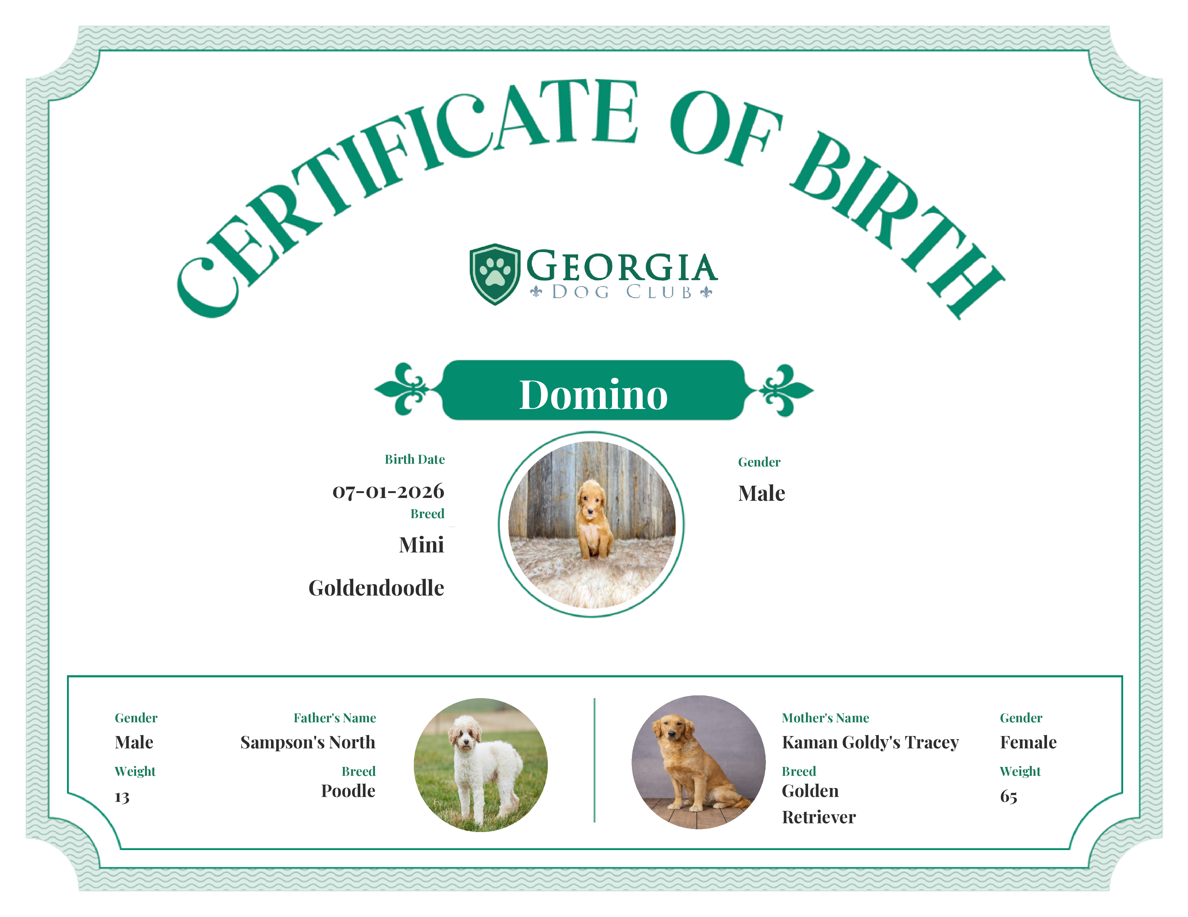Domino's Birth Certificate