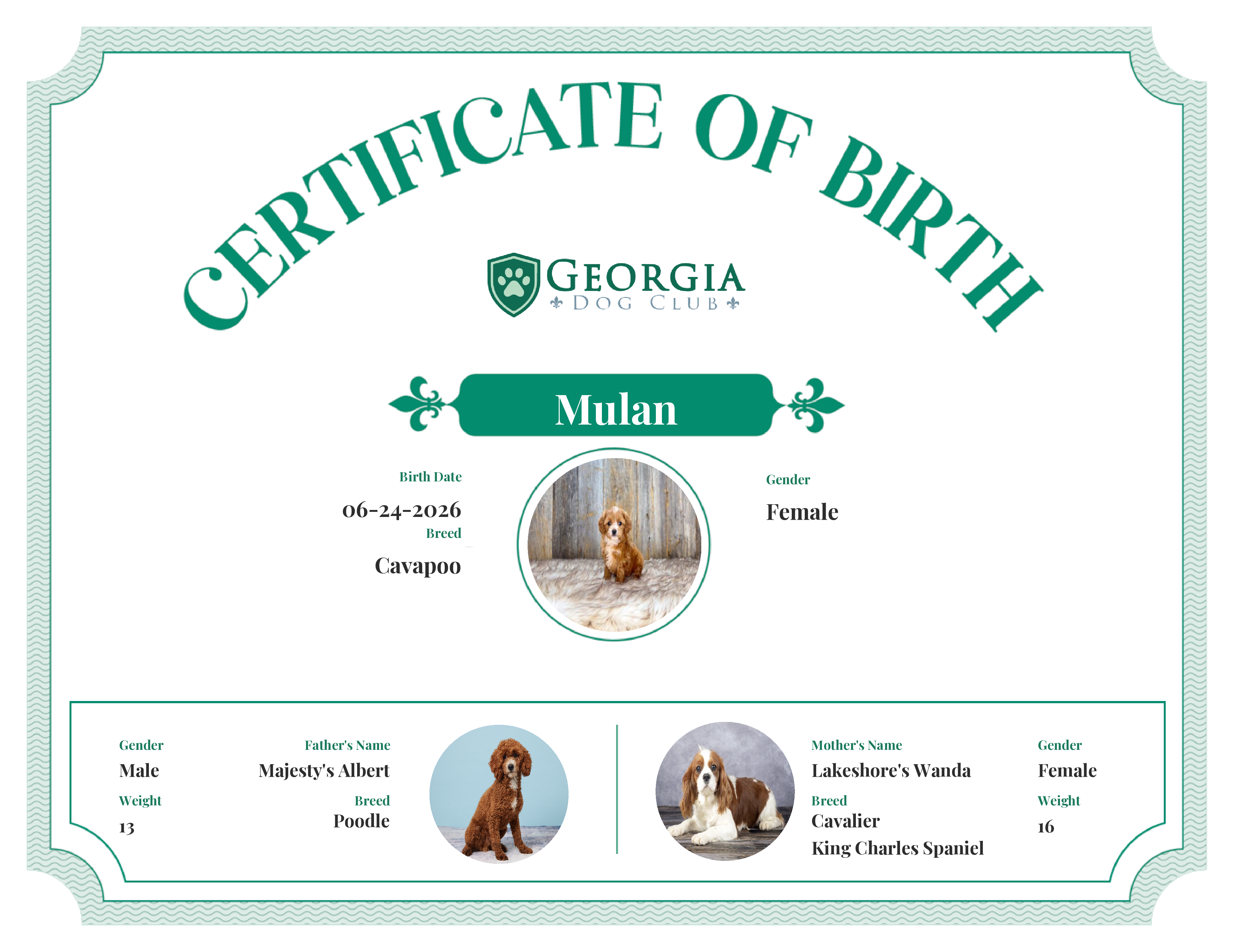 Mulan's Birth Certificate