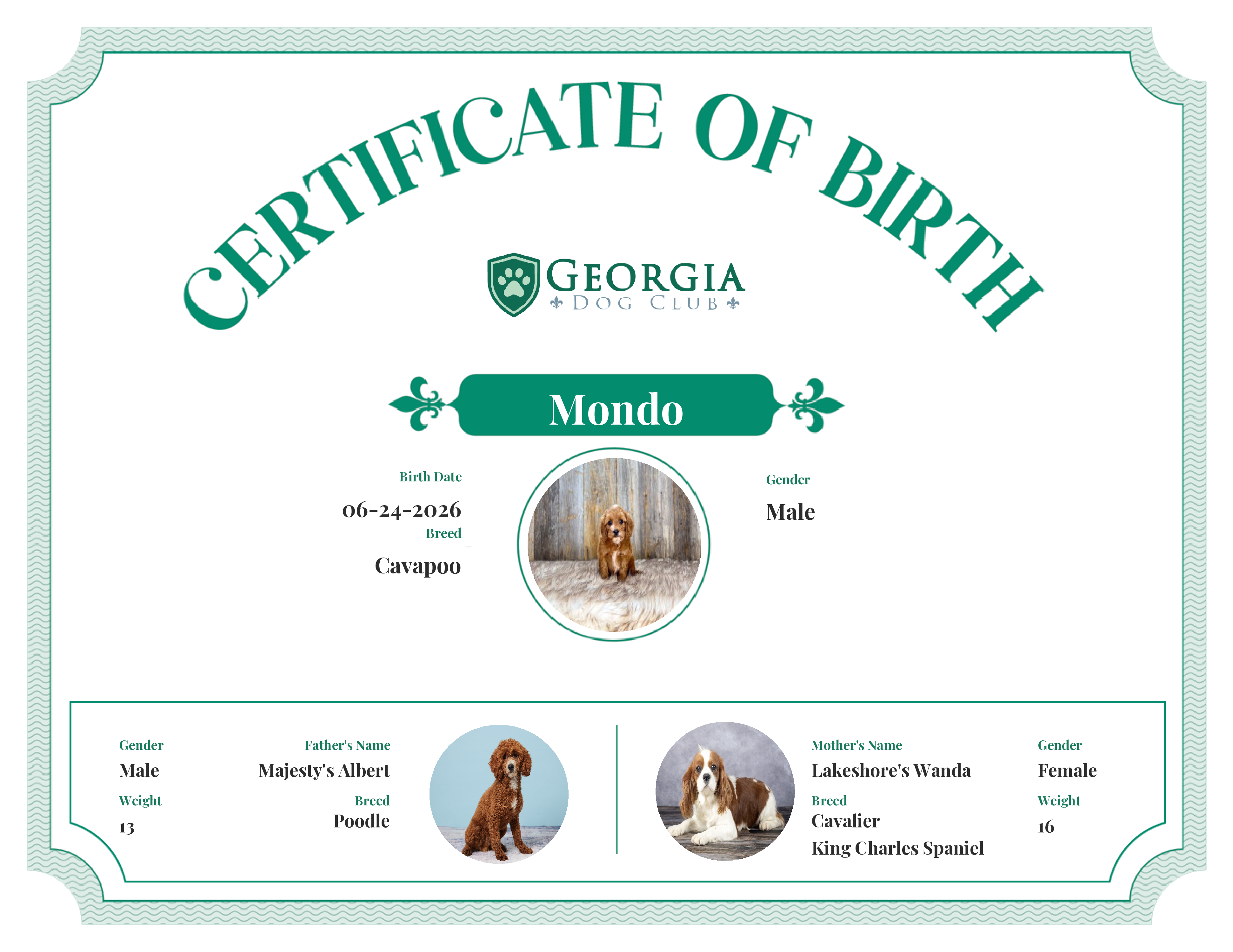 Mondo's Birth Certificate