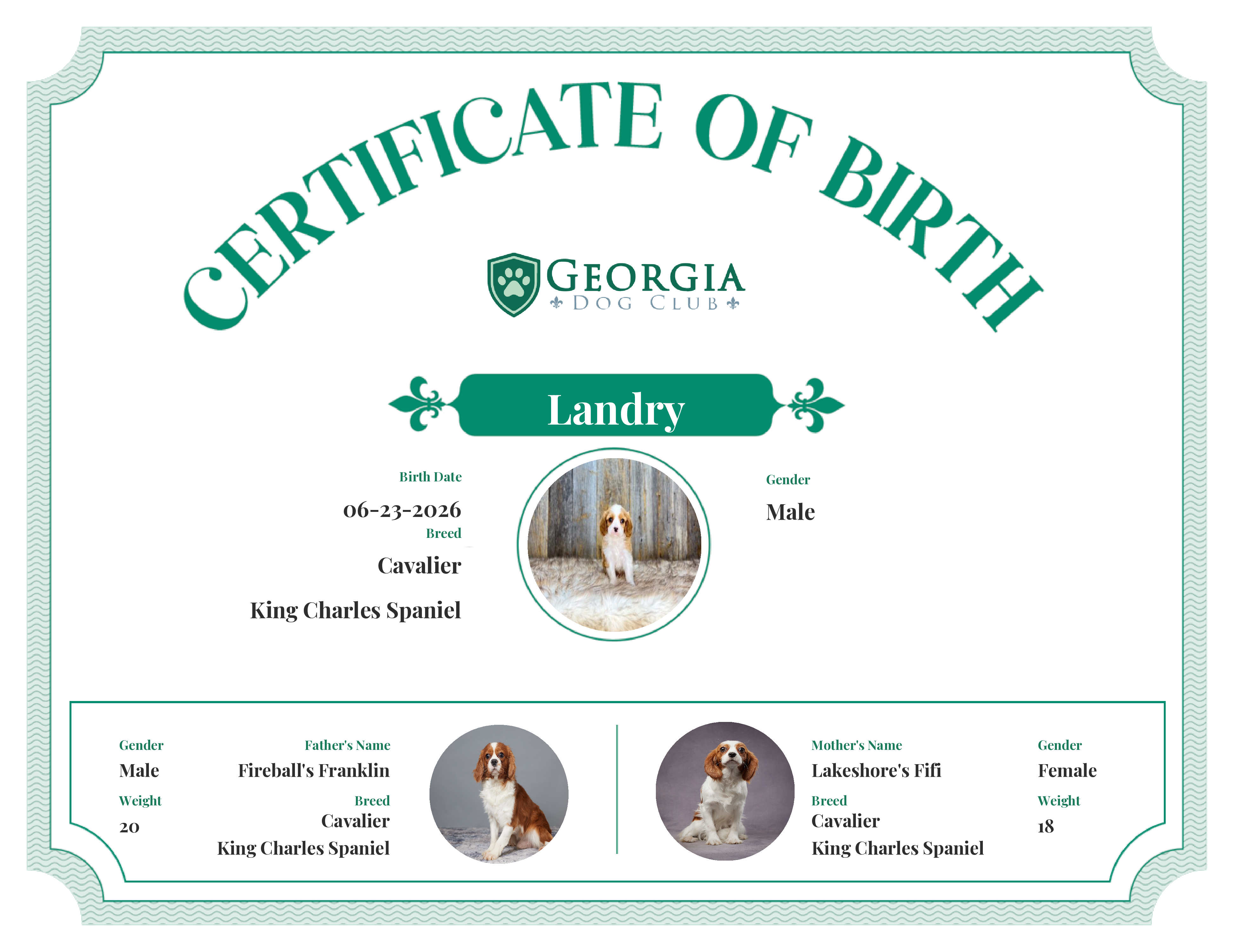 Landry's Birth Certificate