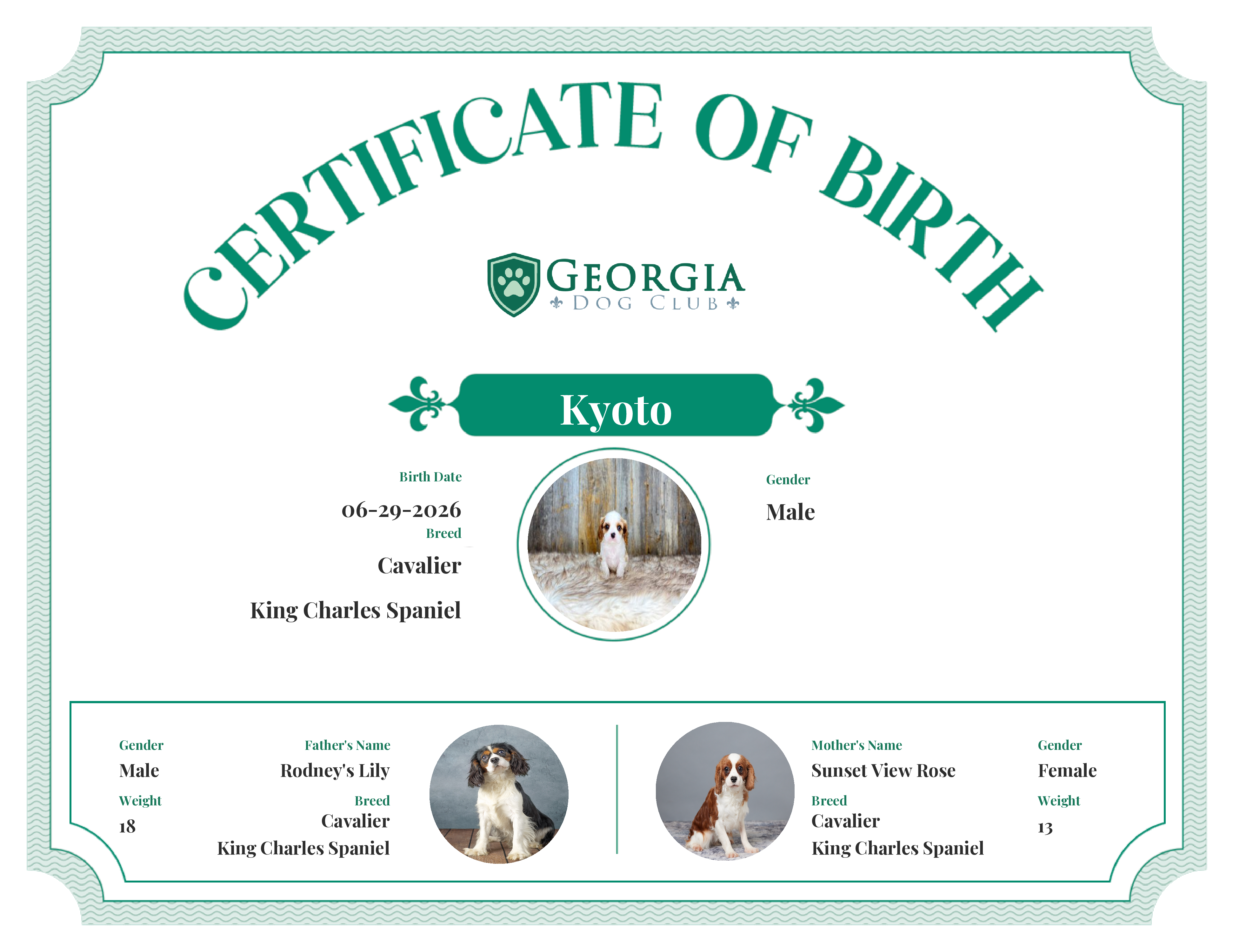 Kyoto's Birth Certificate