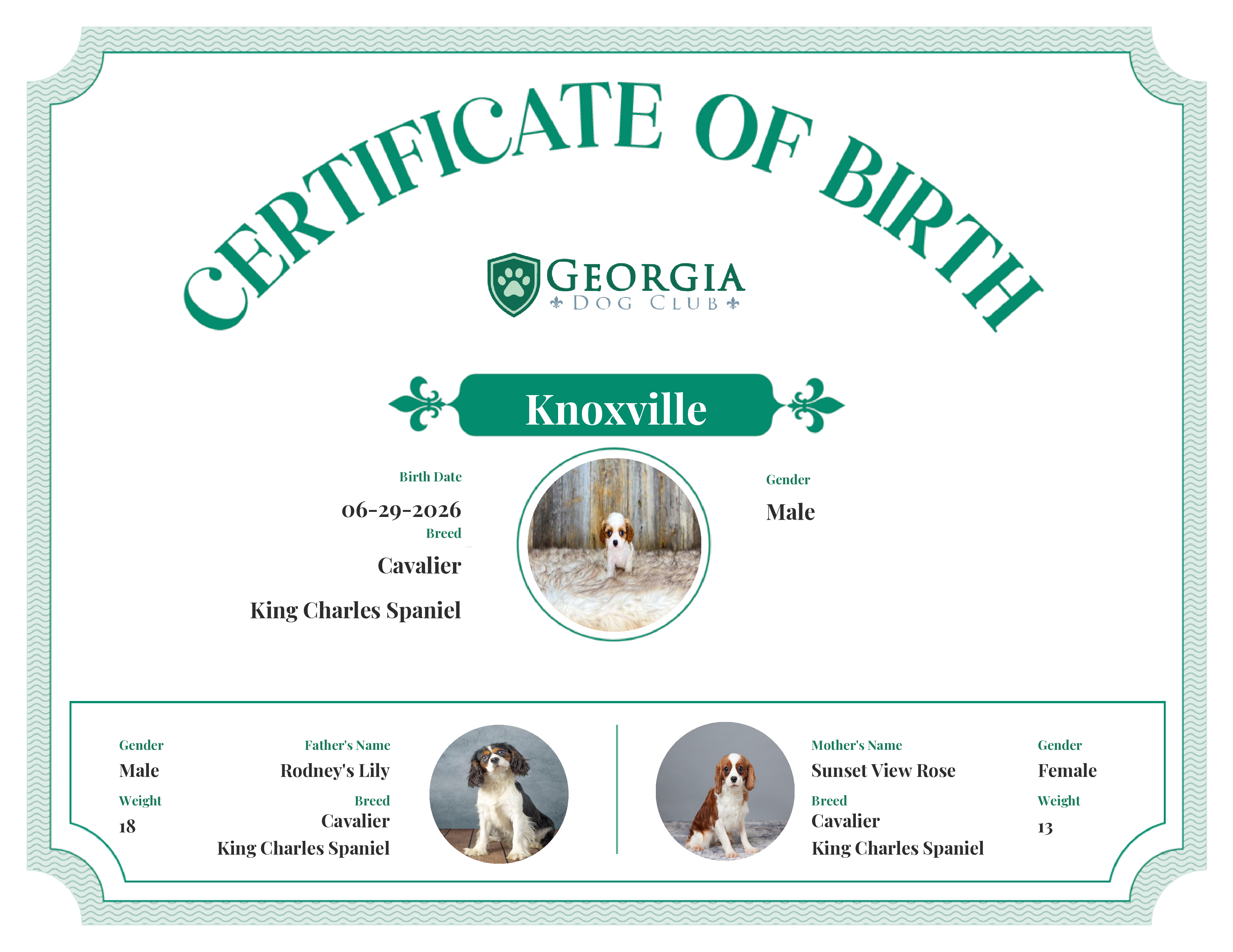 Knoxville's Birth Certificate