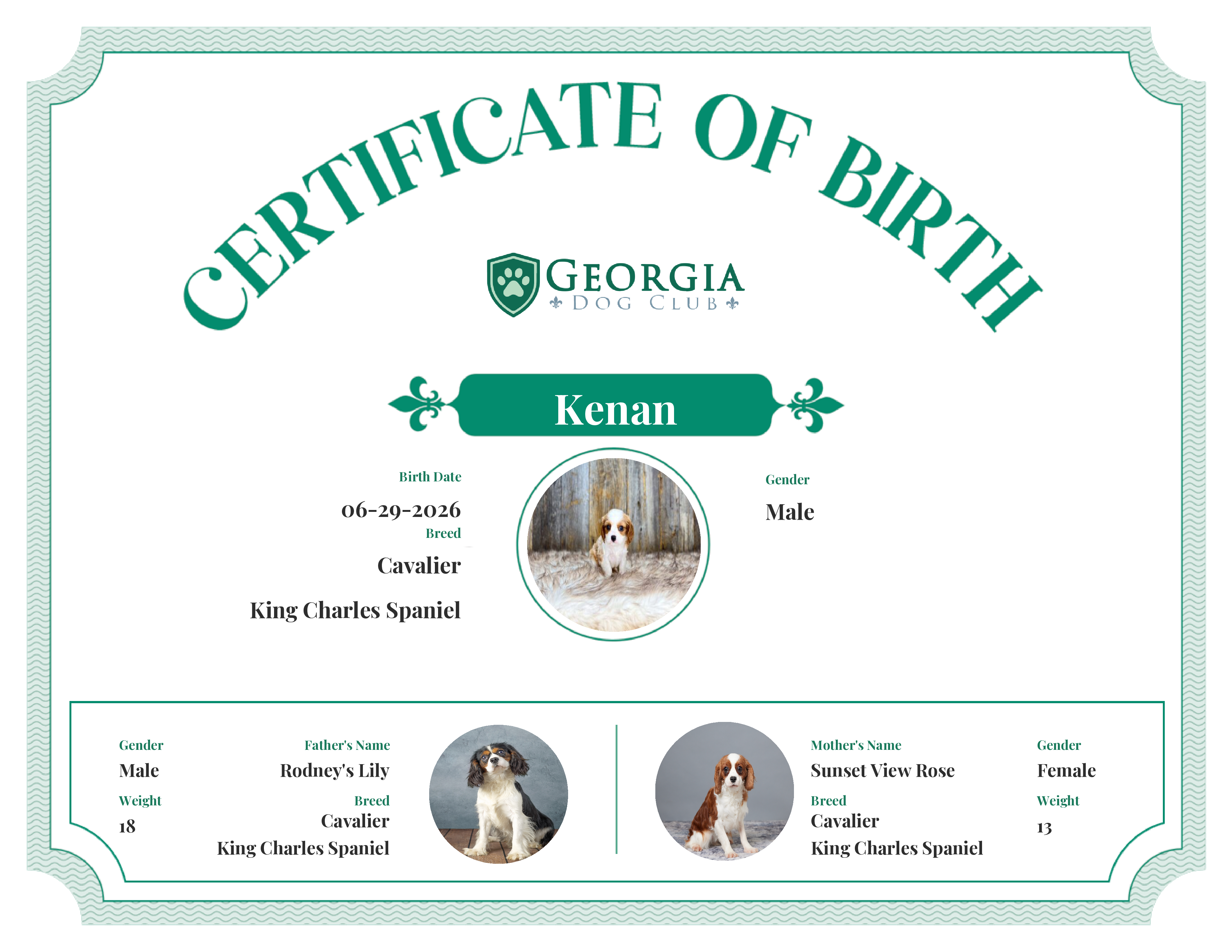 Kenan's Birth Certificate