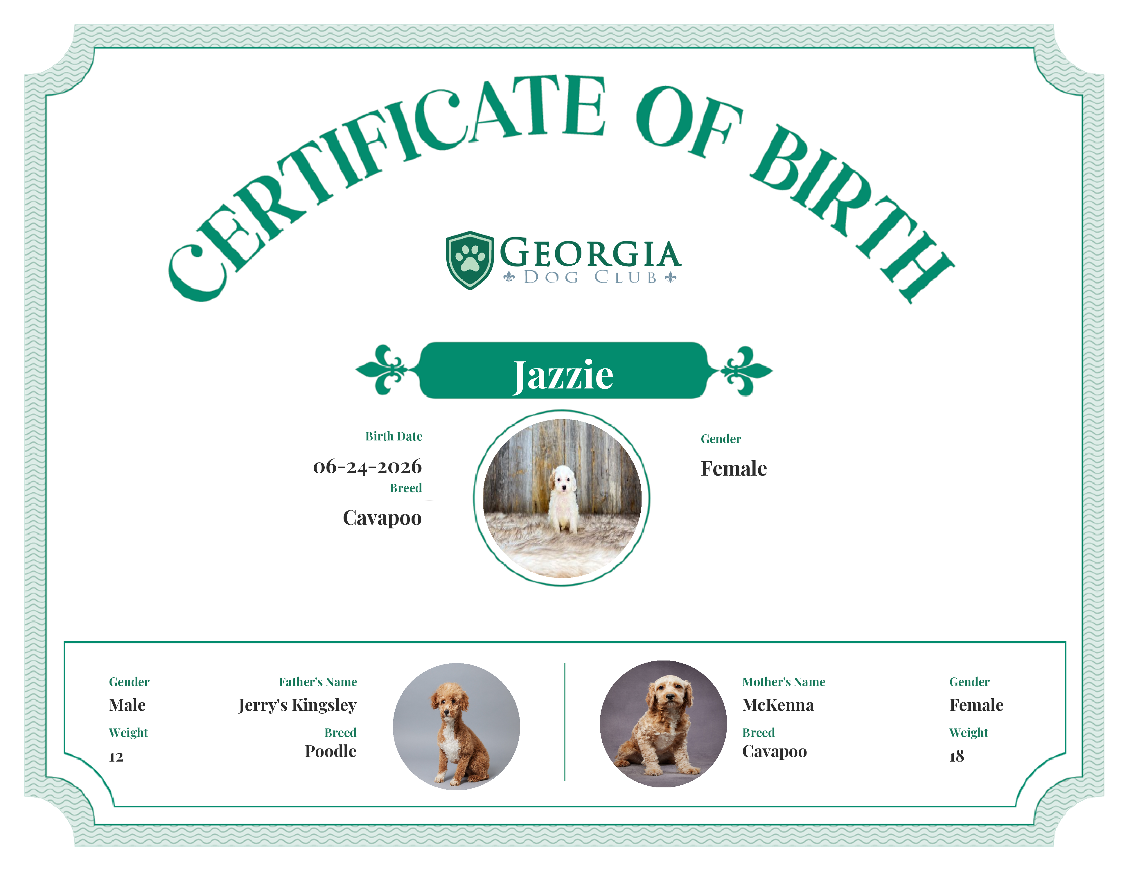 Jazzie's Birth Certificate